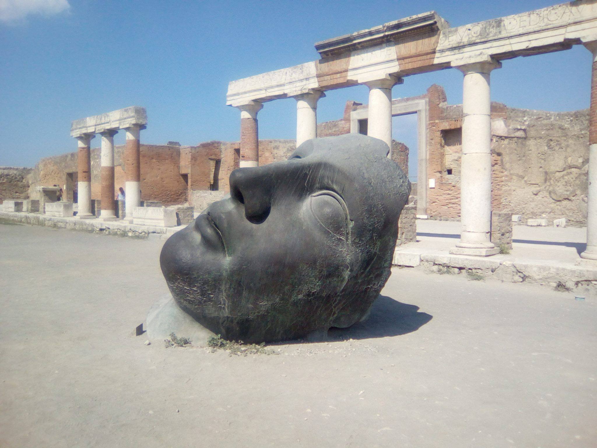 Pompeii and Vesuvius full-day tour from the Amalfi Coast - vineyards on the volcanic slopes of Vesuvius