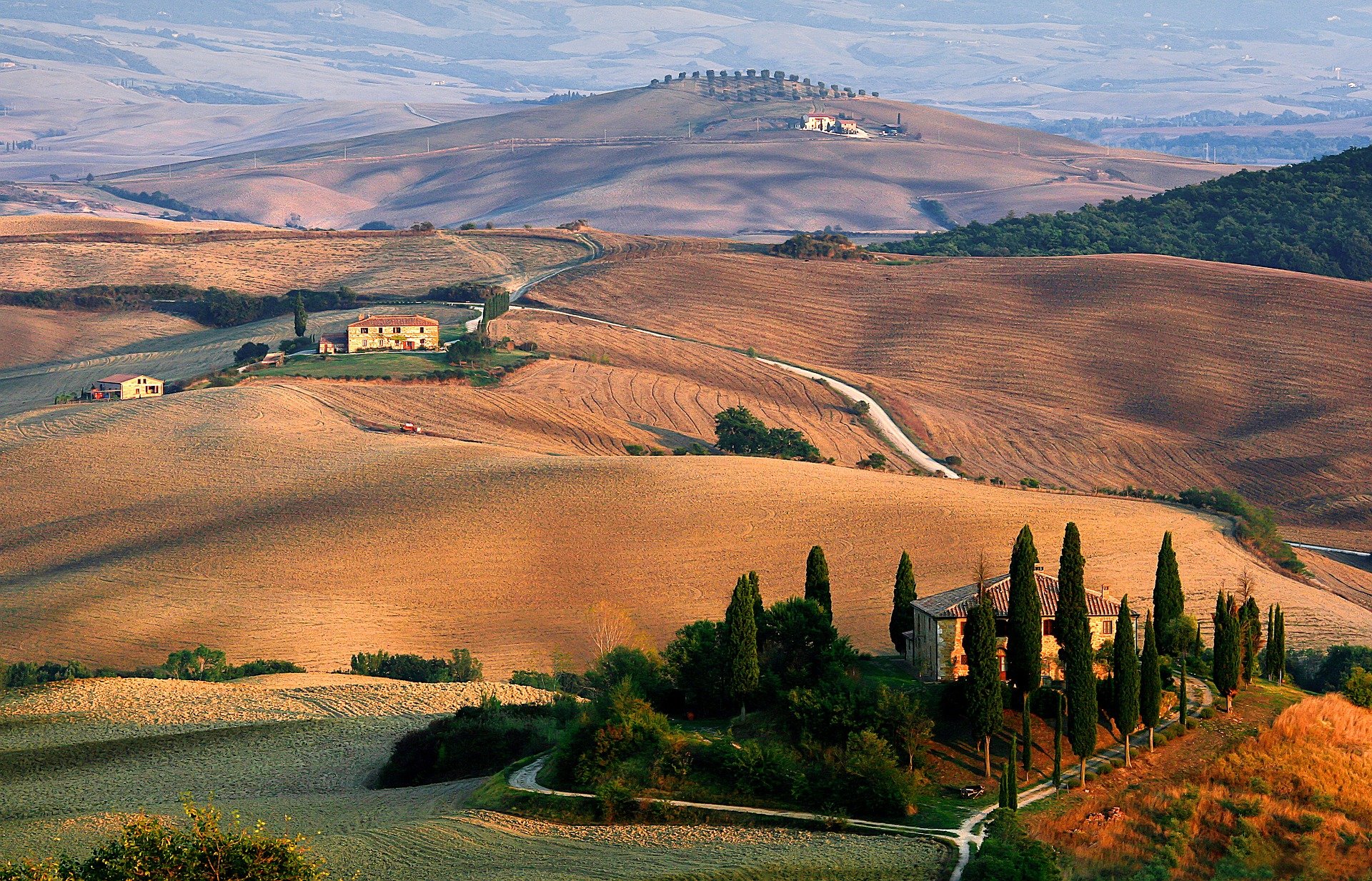 Private Val d'Orcia Wine & Countryside Day Trip from Florence
