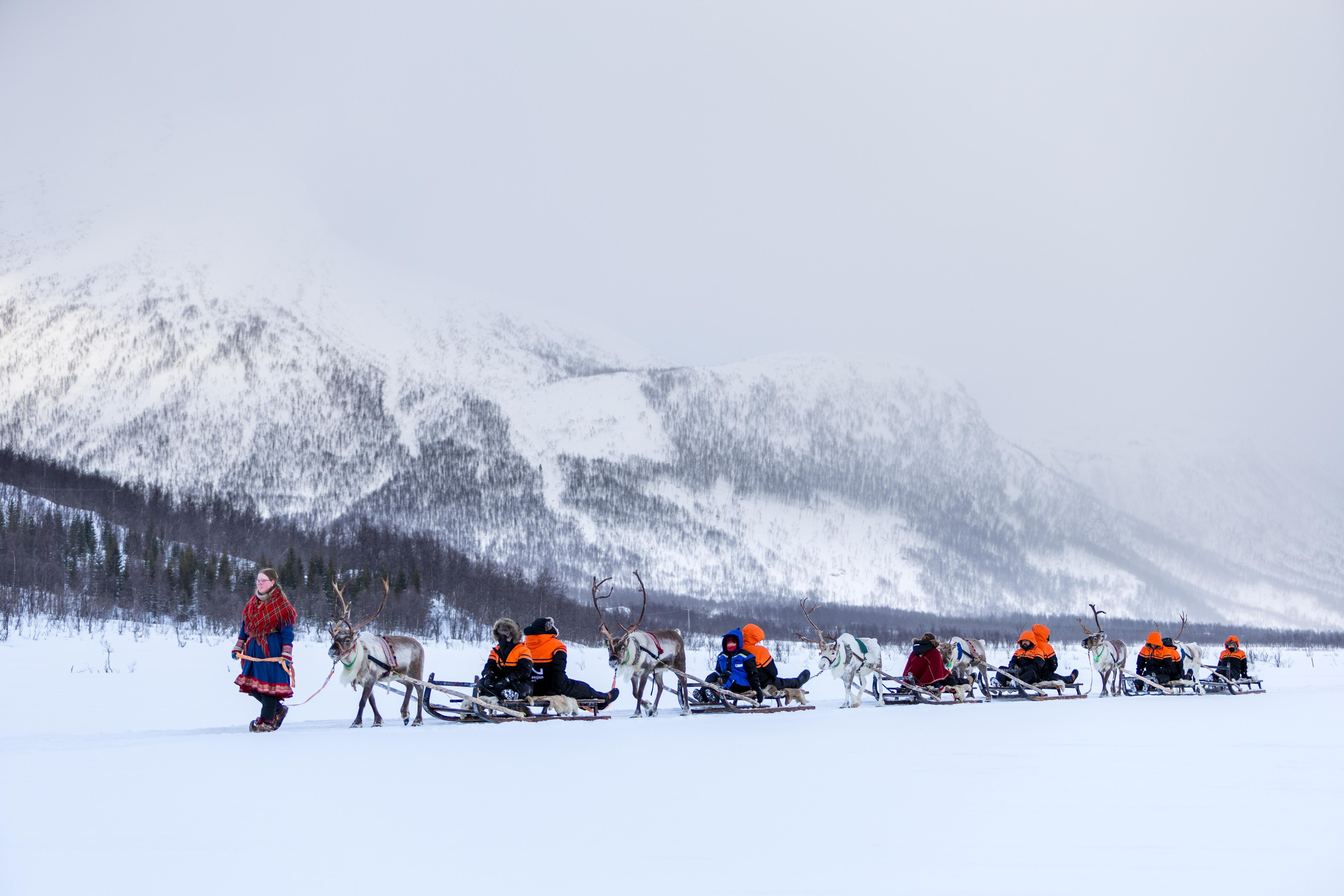 From Tromsø: Reindeer Sledding at Camp Tamok