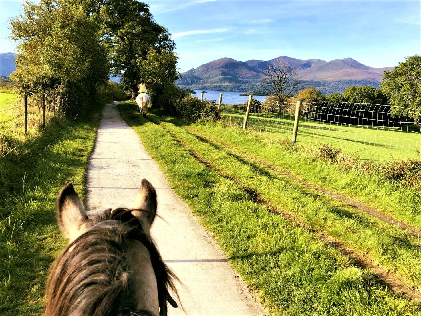 Guided Horseback Ride Through Killarney National Park