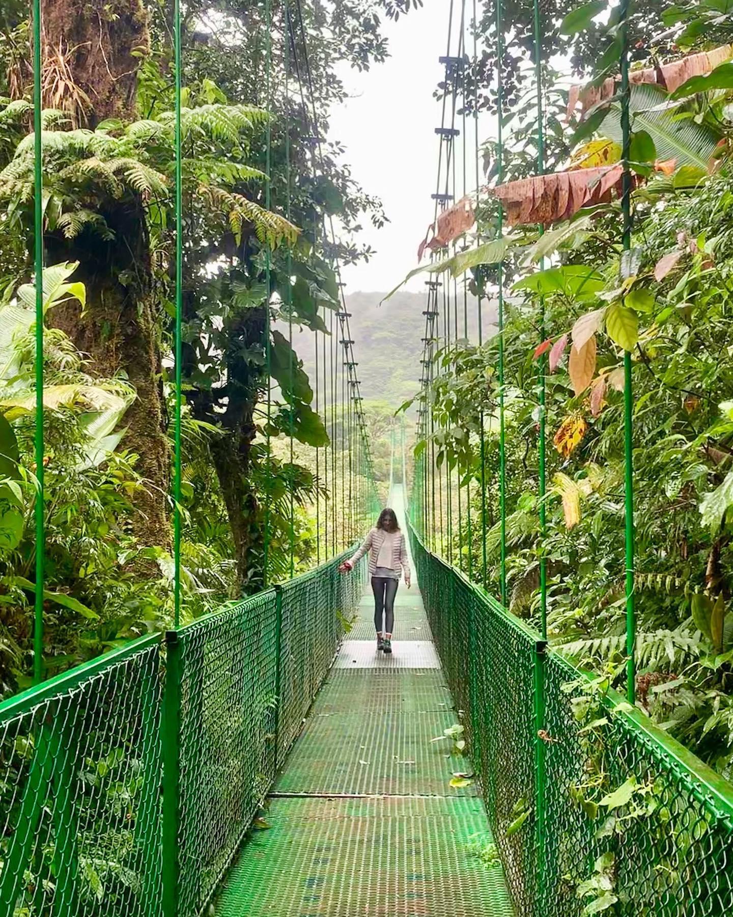 Monteverde Hanging Bridges & Night Walk Combo