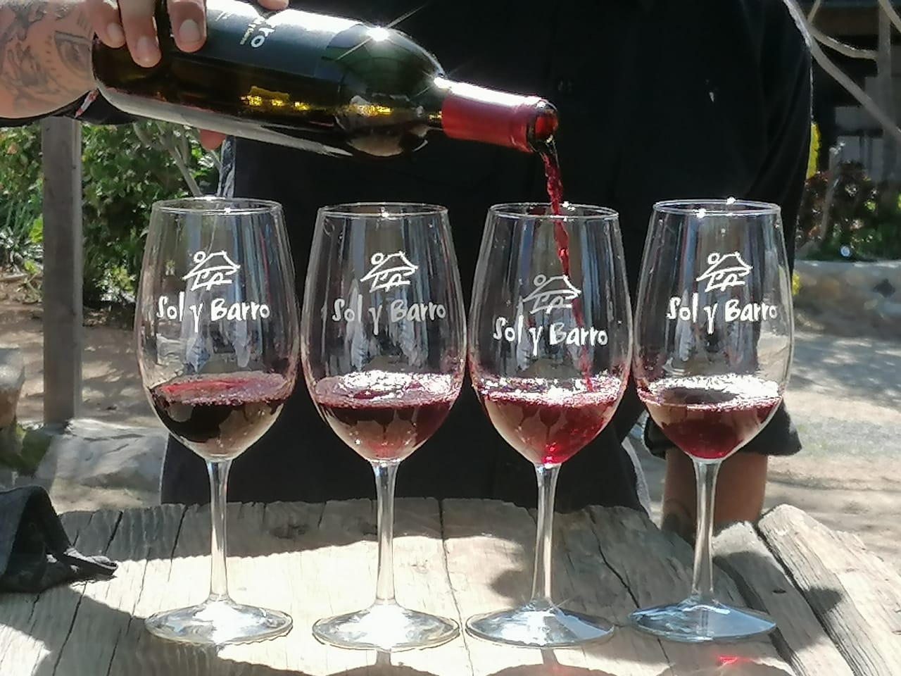 wine tour in Valle de Guadalupe — photo 11