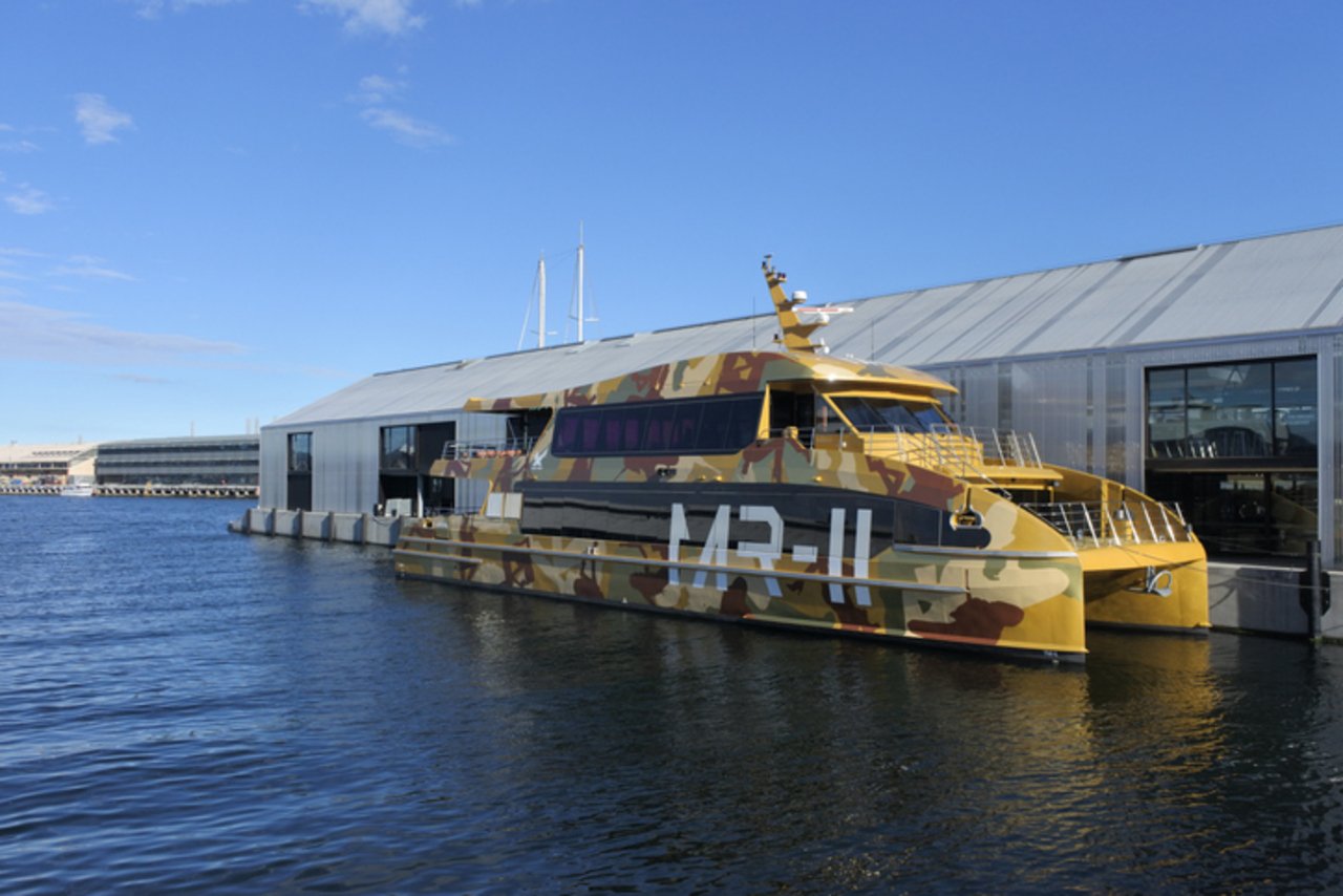 Mt Wellington Summit & MONA Museum with River Ferry
