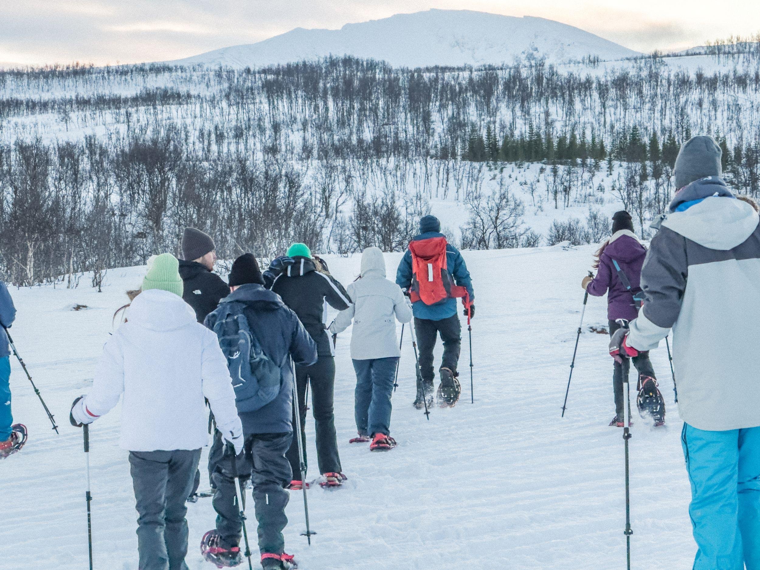 Tromsø: Snowshoeing Tour & Reindeer Encounter with Lunch
