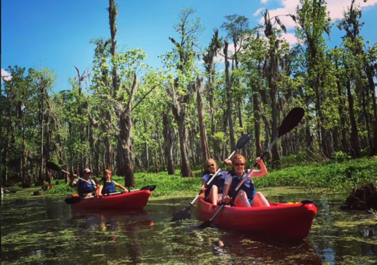 Manchac Swamp Wildlife Kayaking Adventure