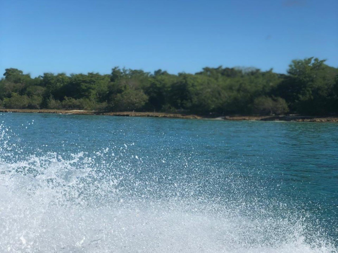 Saona Island Small-Group Escape with Lunch & Natural Pool