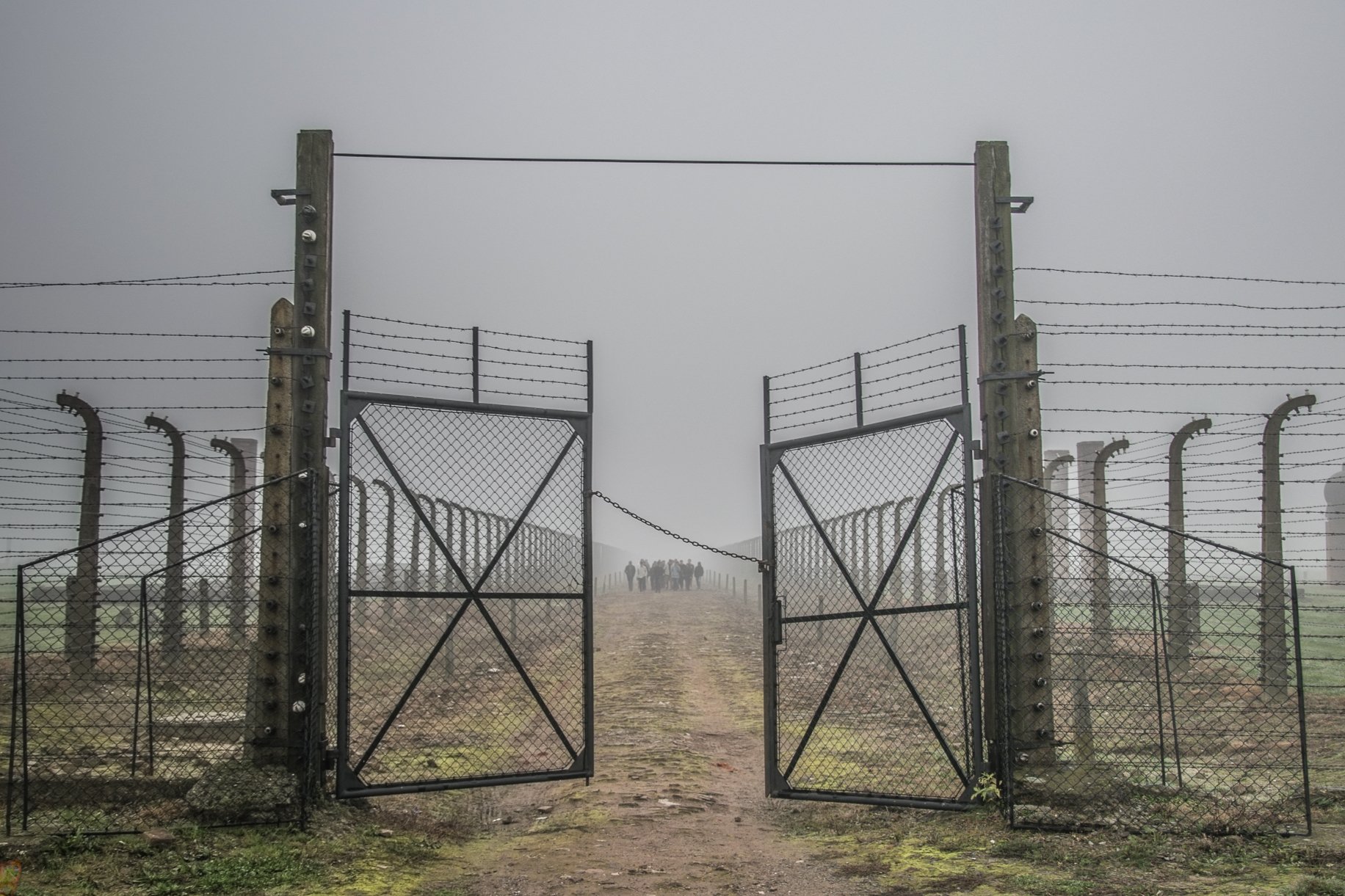 Auschwitz-Birkenau & Wieliczka Salt Mine Full-Day Tour