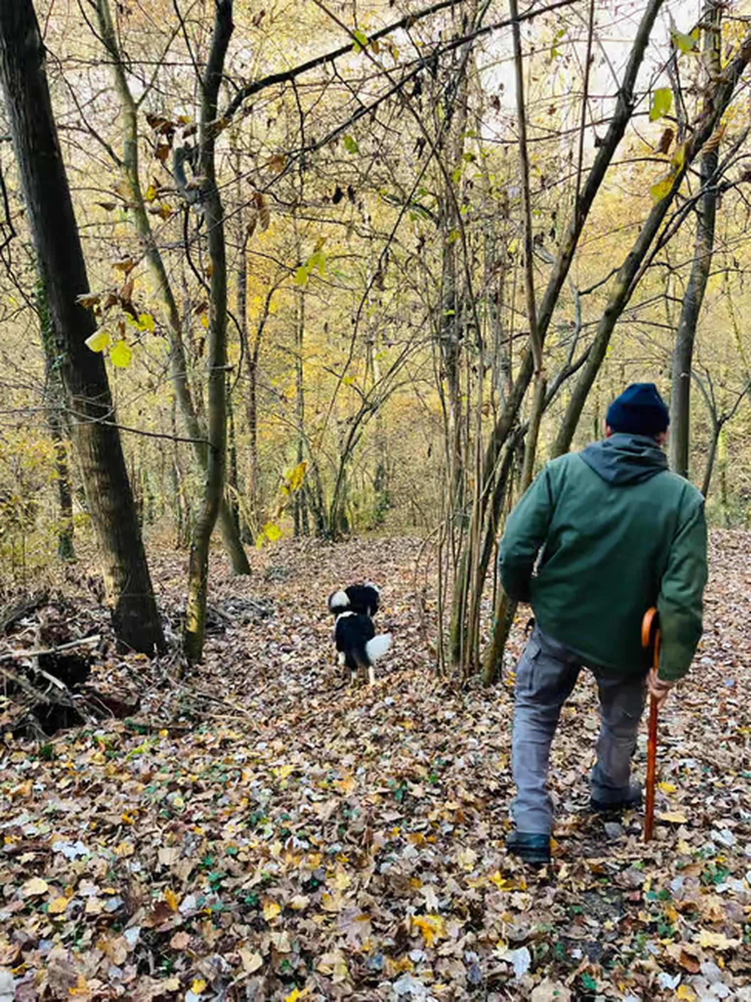 truffle hunting in Piedmont — photo 12