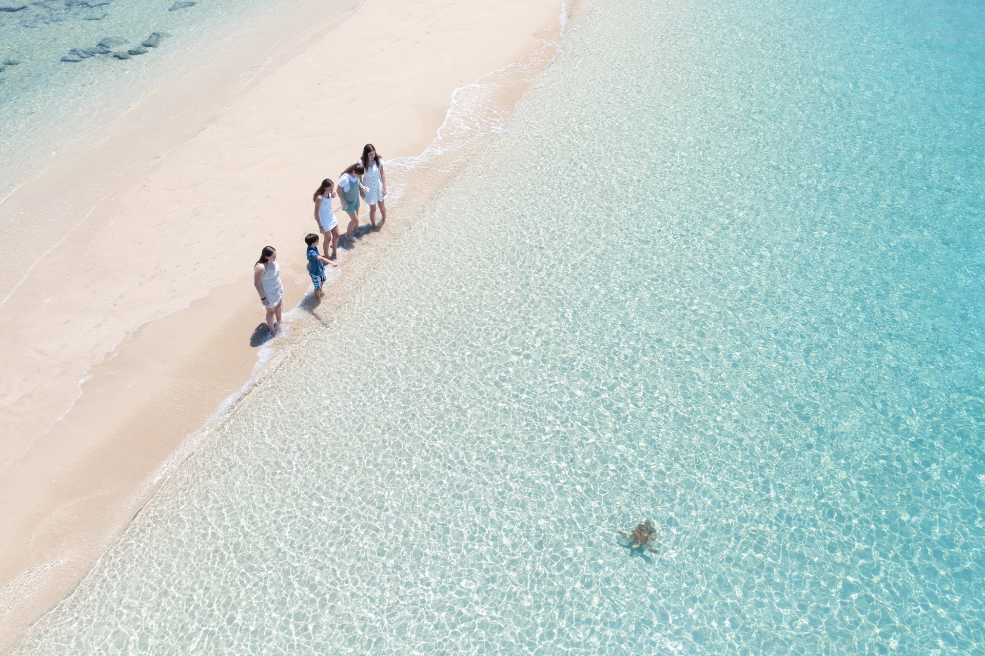 Airlie Beach: Whitehaven Full-Day Eco-Cruise with Buffet