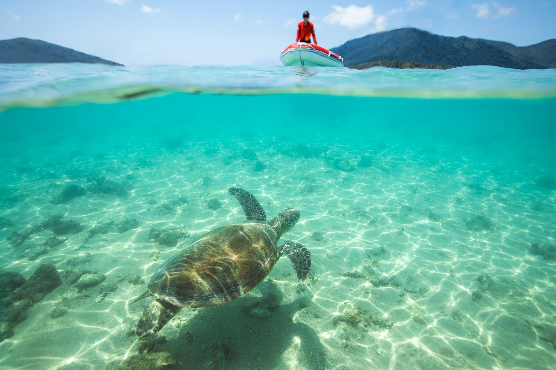Airlie Beach: Whitehaven Full-Day Eco-Cruise with Buffet