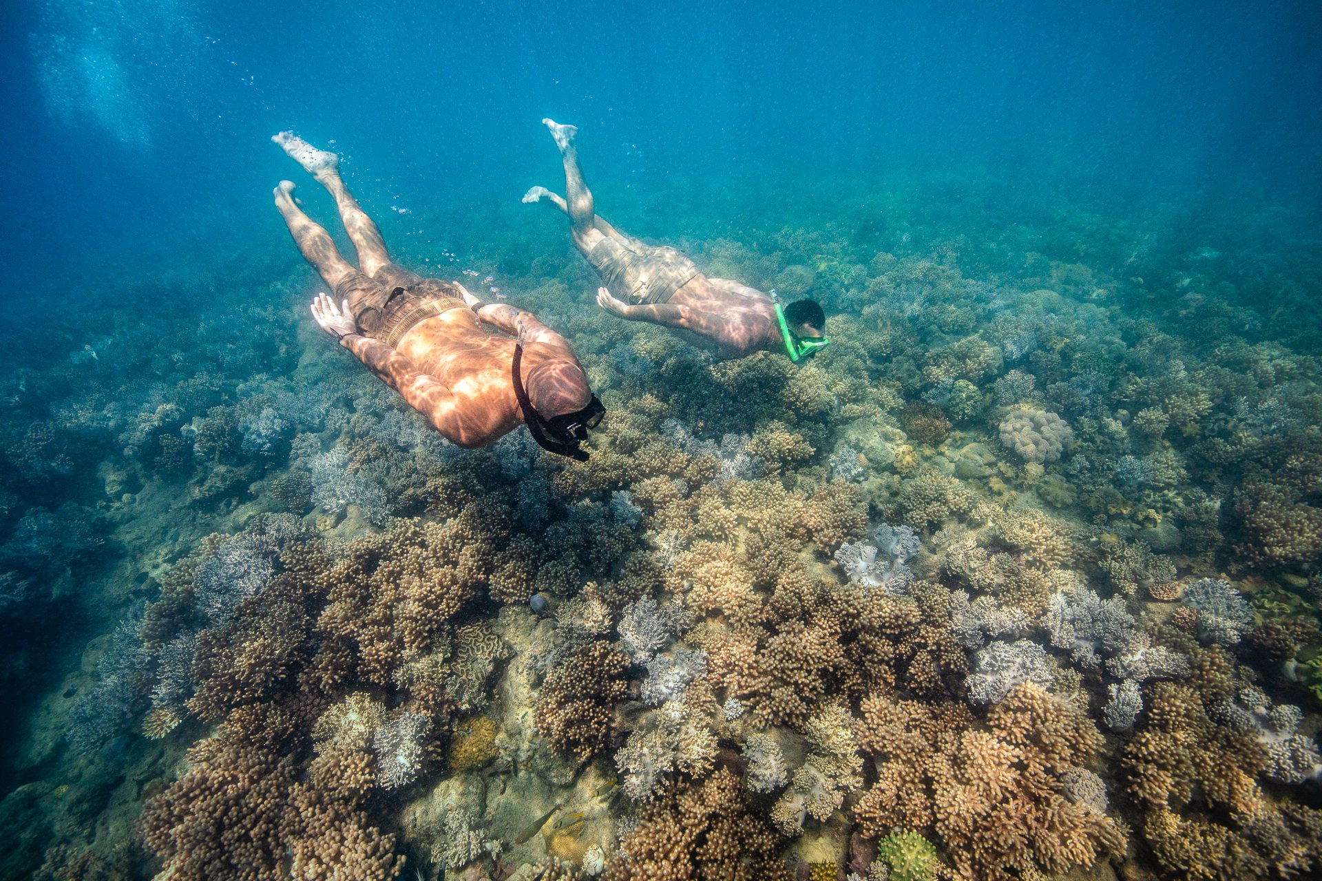 Airlie Beach: Whitehaven Full-Day Eco-Cruise with Buffet