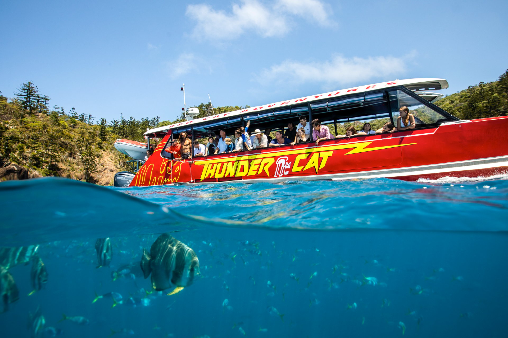 Airlie Beach: Whitehaven Full-Day Eco-Cruise with Buffet