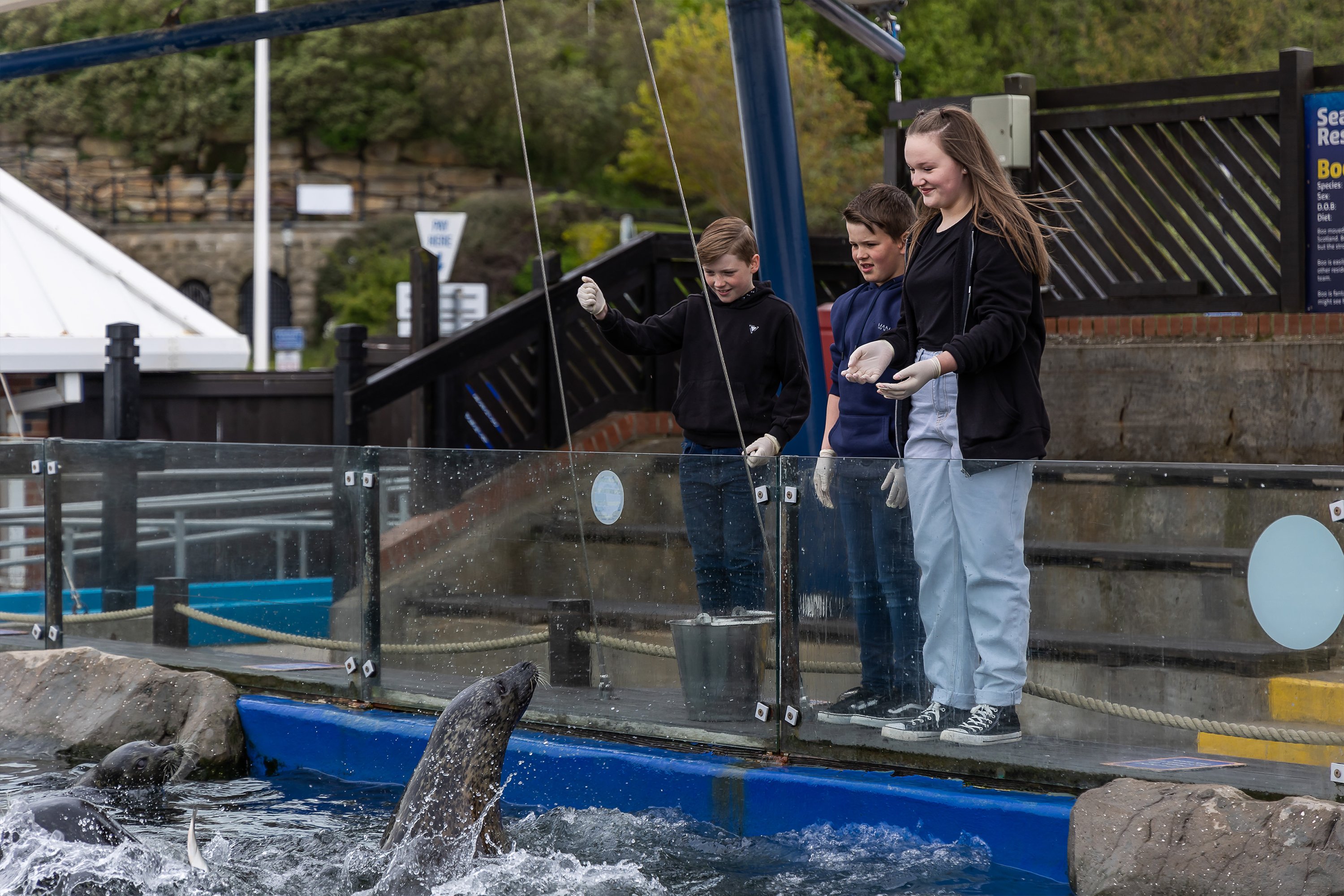 Sea Life Scarborough Entry