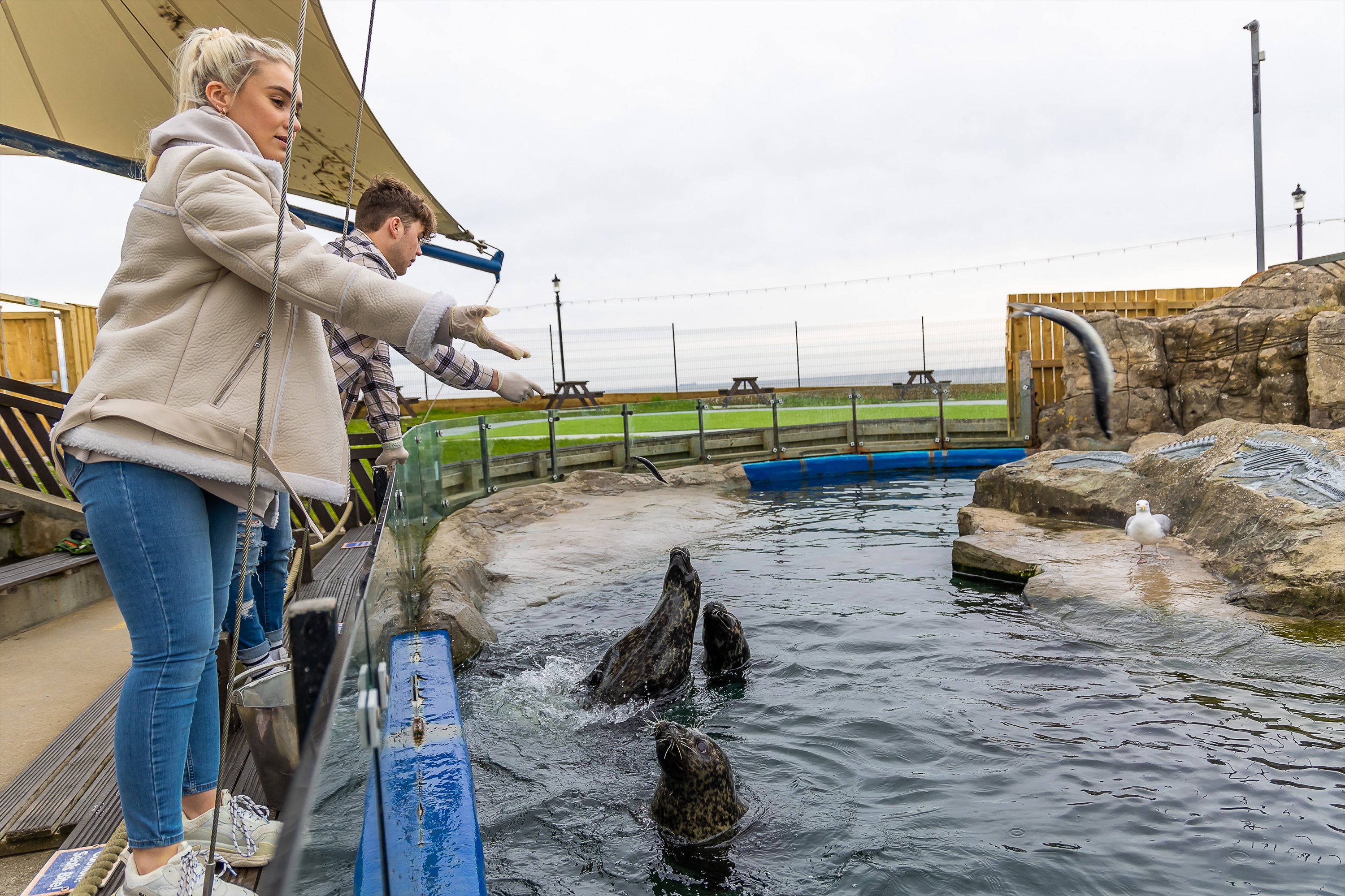 Sea Life Scarborough Entry