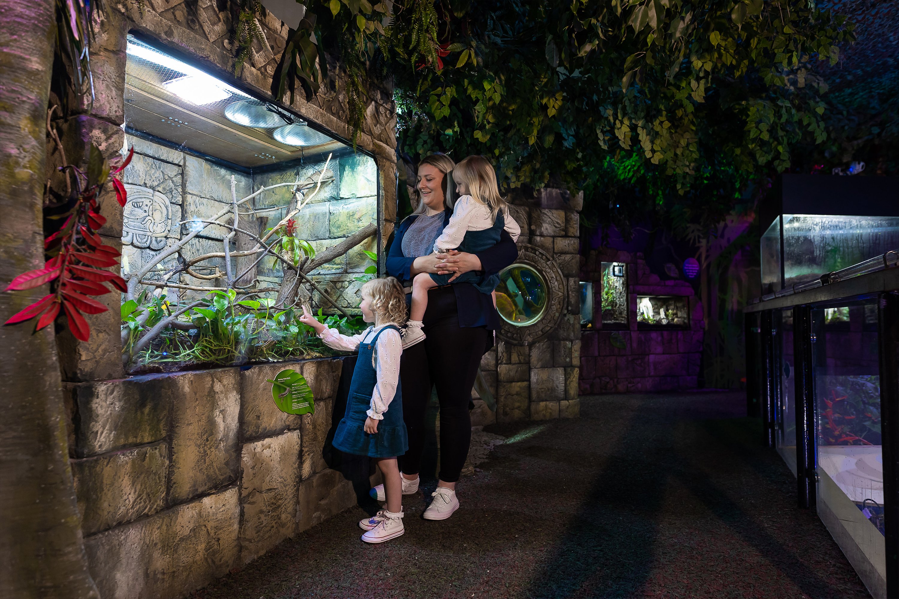 Sea Life Scarborough Entry