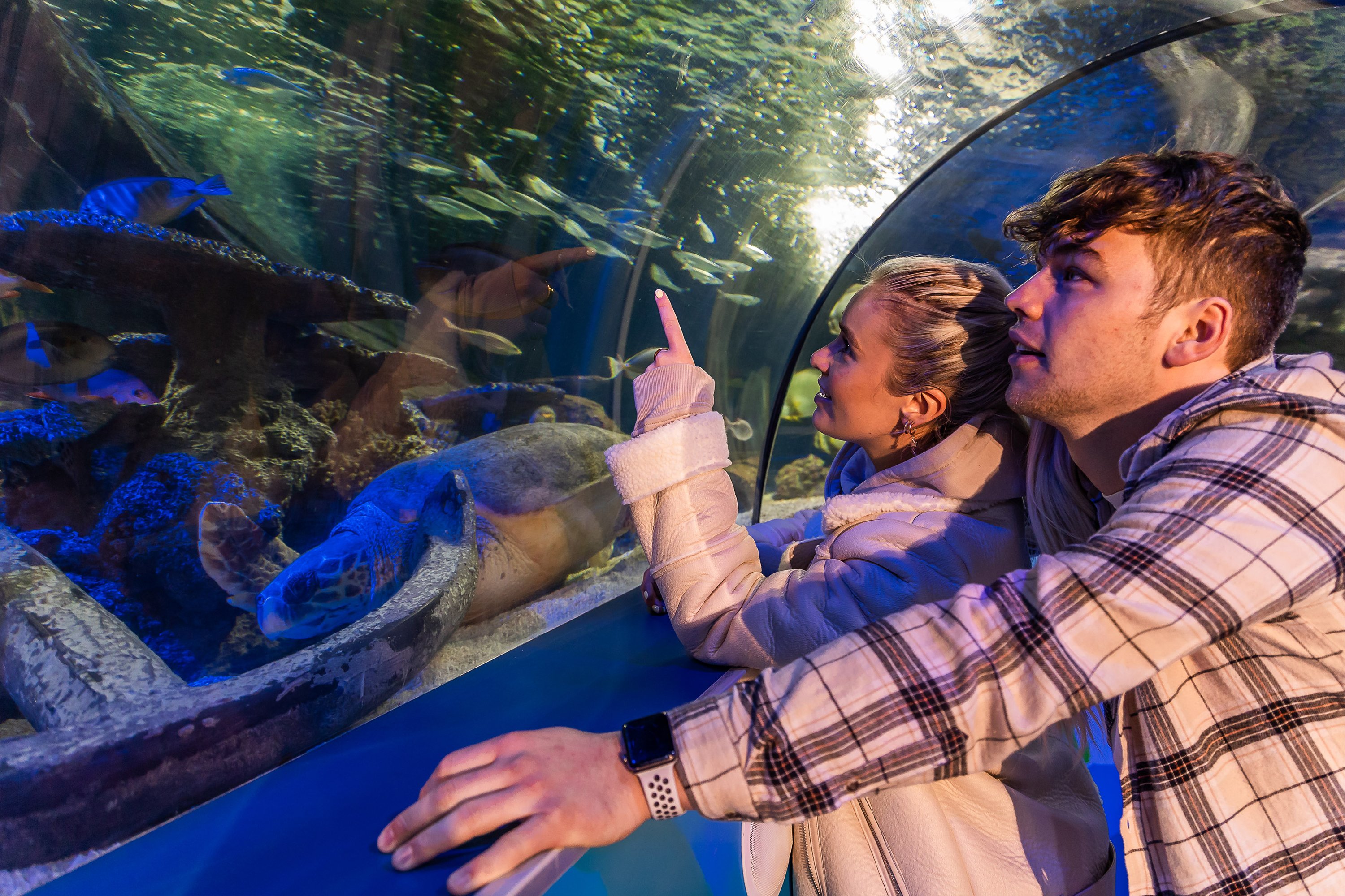 Sea Life Scarborough Entry