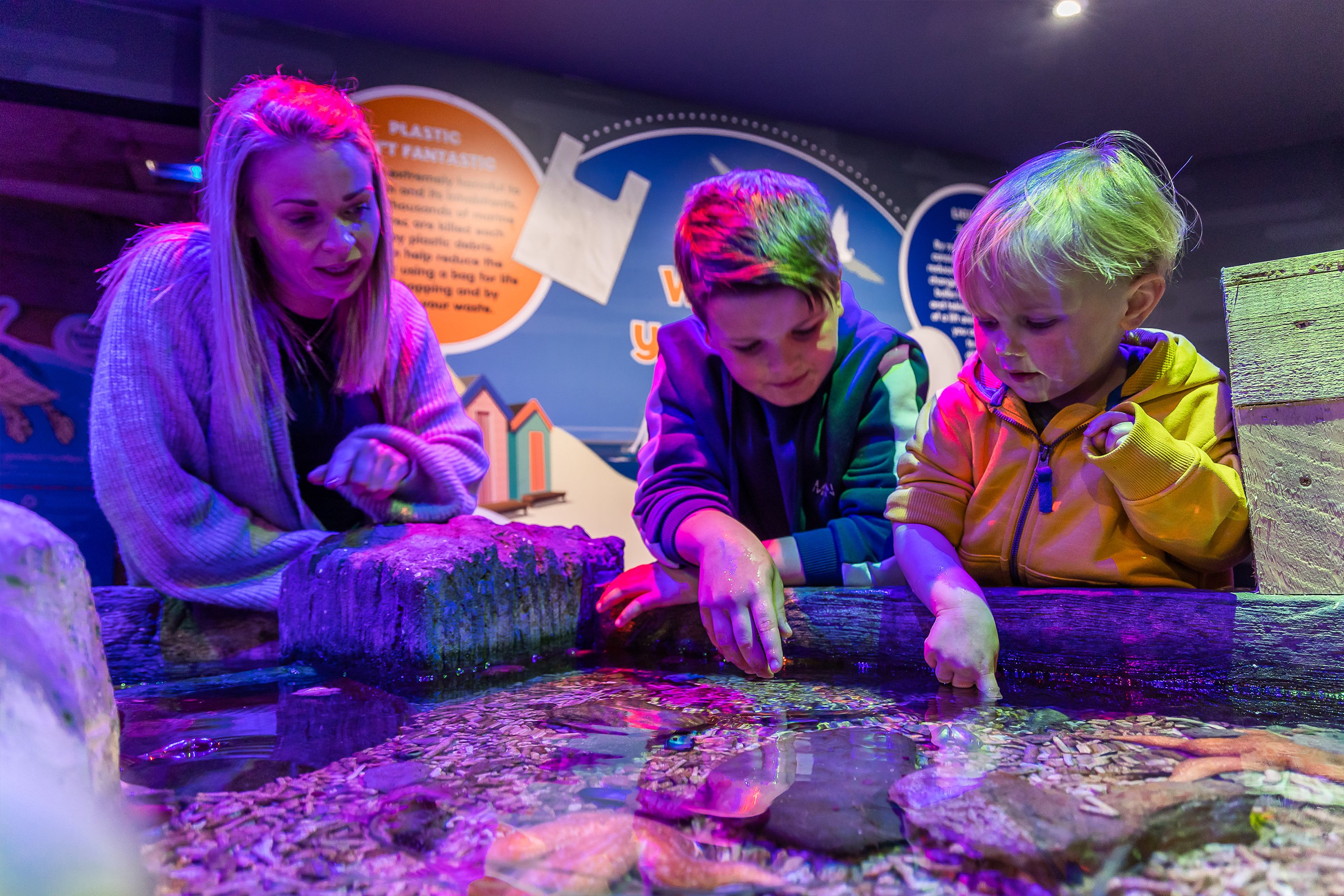 Sea Life Scarborough Entry