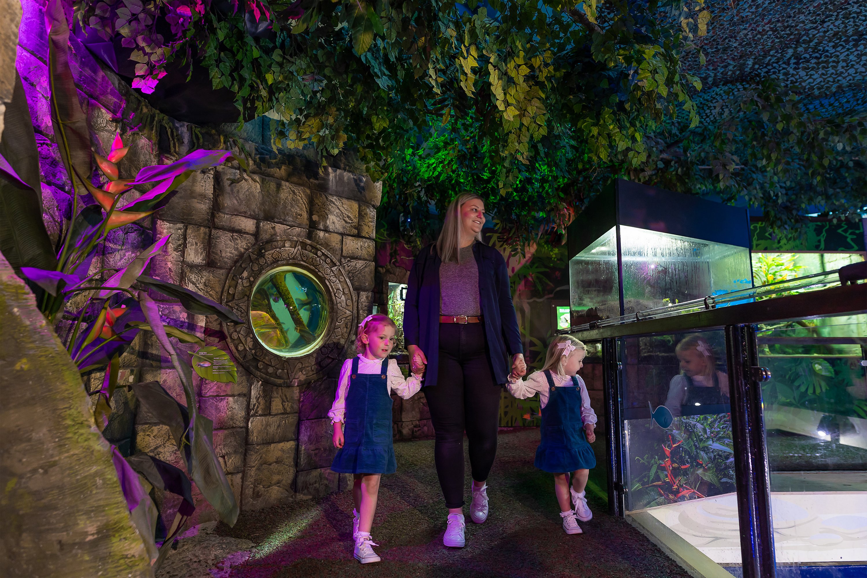 Sea Life Scarborough Entry