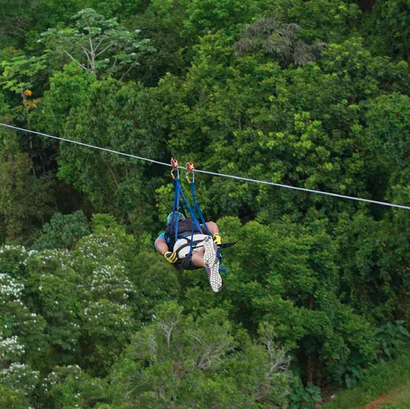 The Monster Zipline at Toro Verde Adventure Park