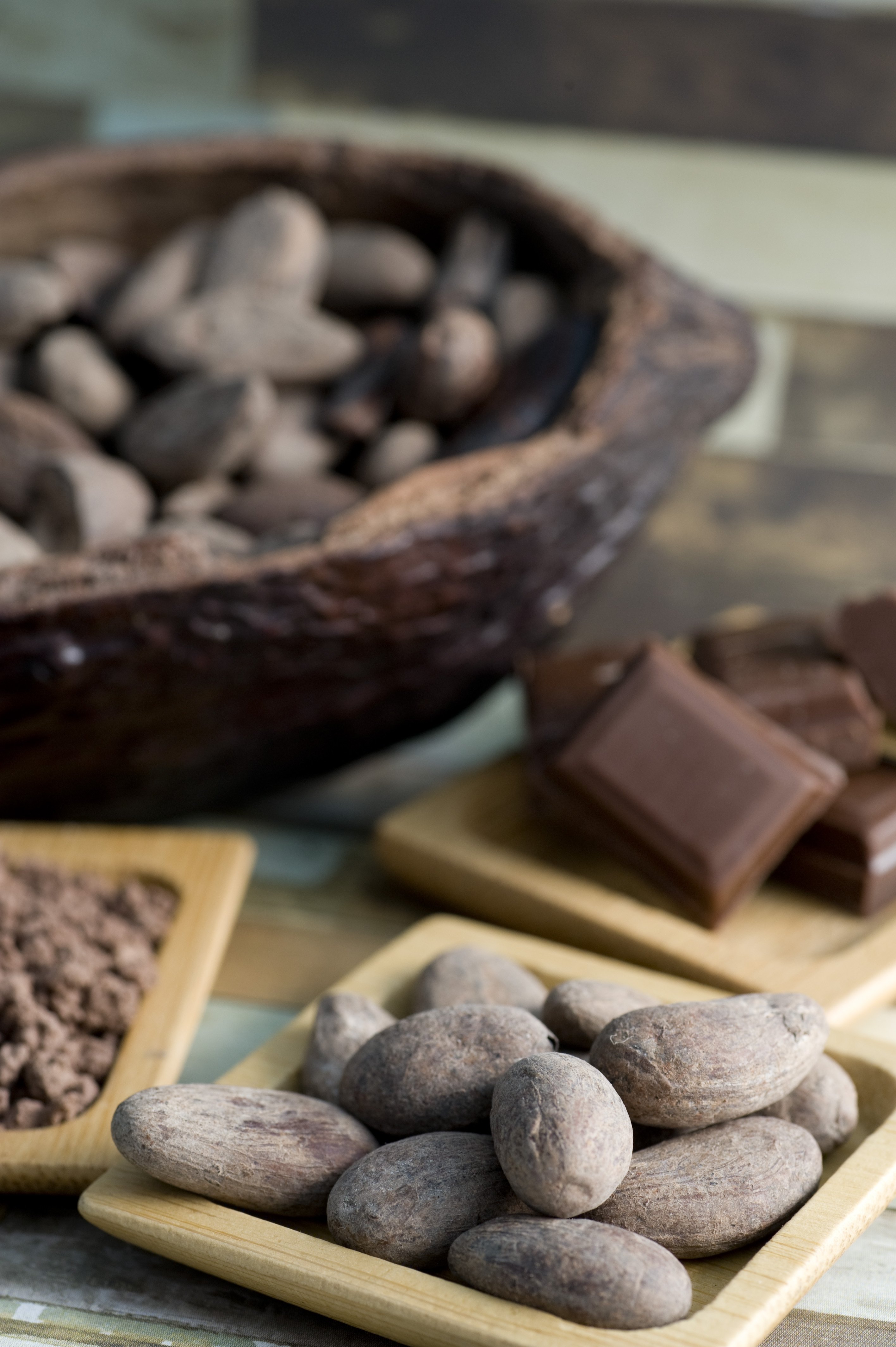chocolate tour in Mérida — photo 4