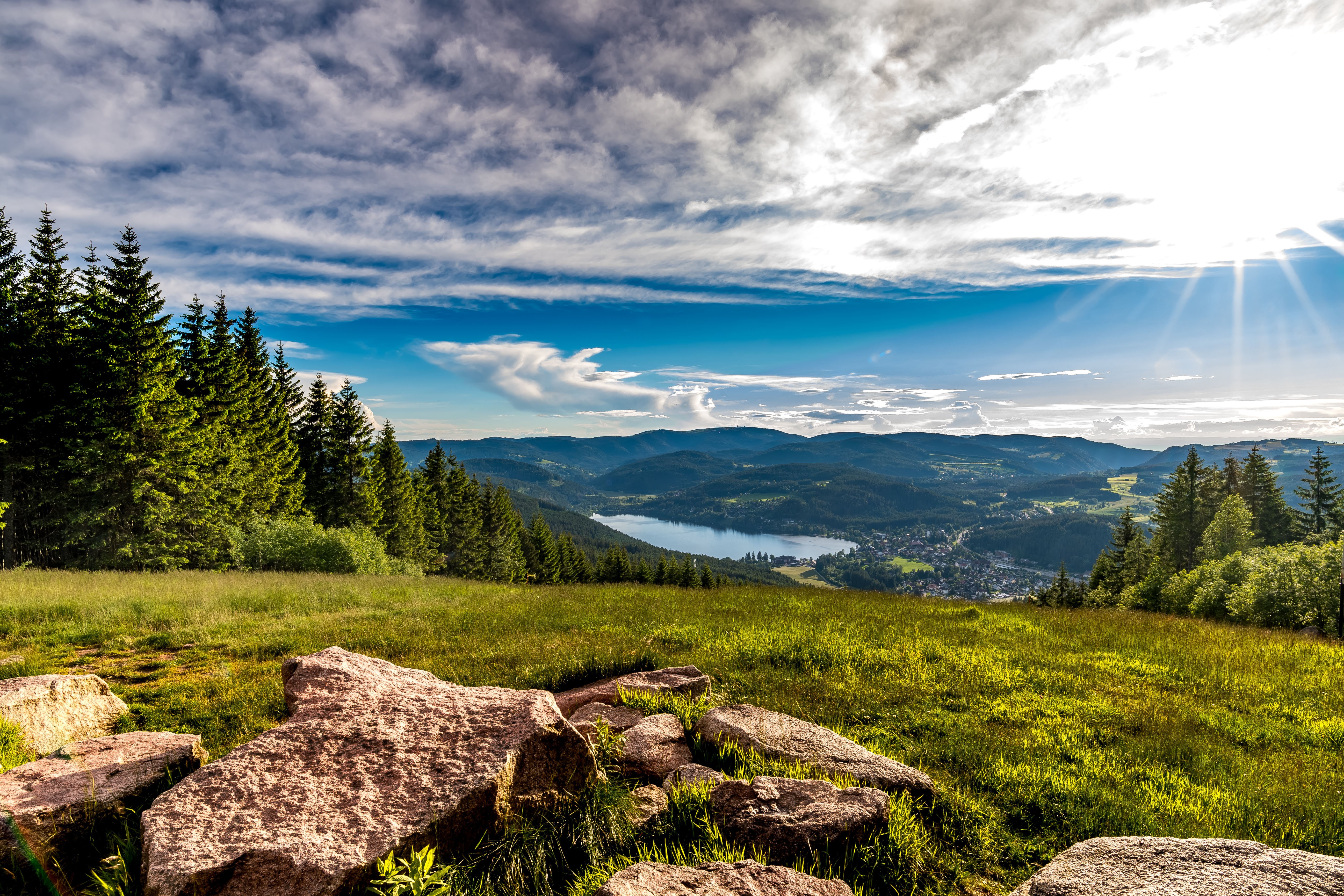 Black Forest & Rhine Falls Day Tour from Zurich