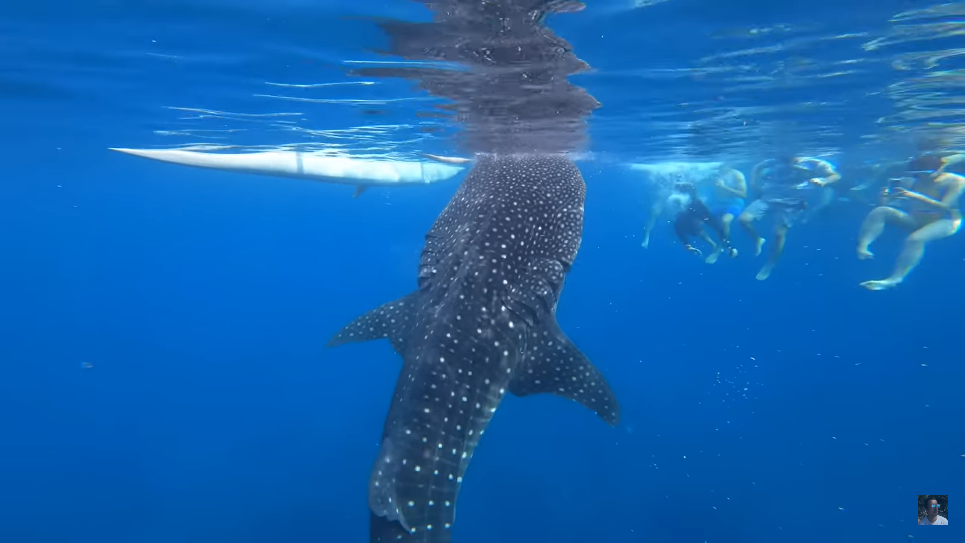 Oslob Triple Adventure: Whale Sharks, Tumalog Falls & Sumilon Island
