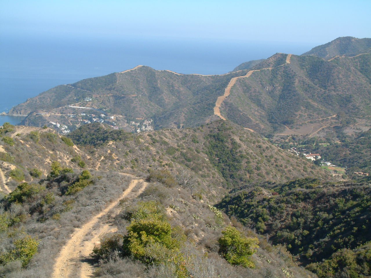 Catalina Island Guided Eco-Expedition & Airport-in-the-Sky Tour