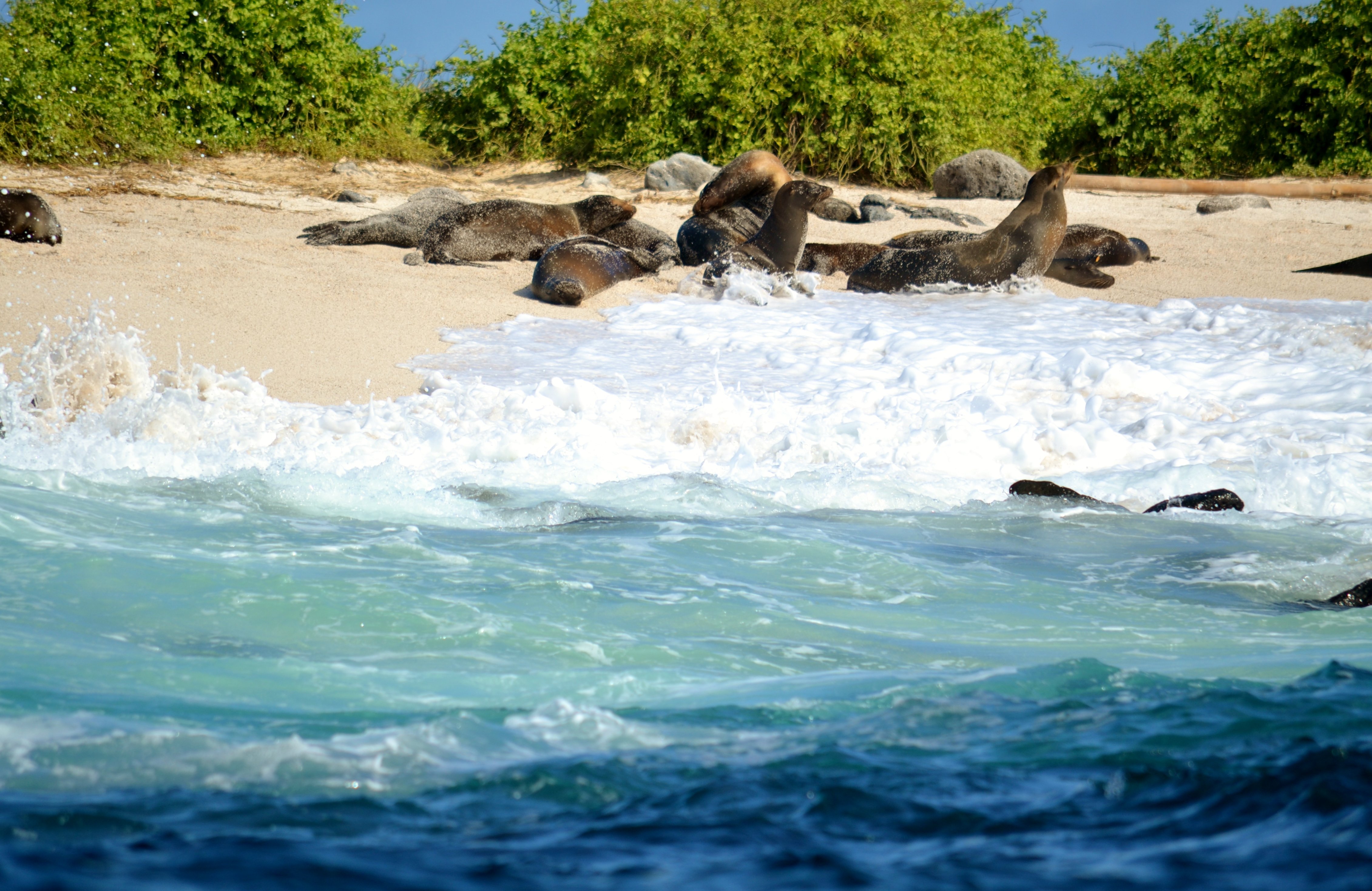 4-Day Santa Cruz & Bahia Islands Adventure with Meals