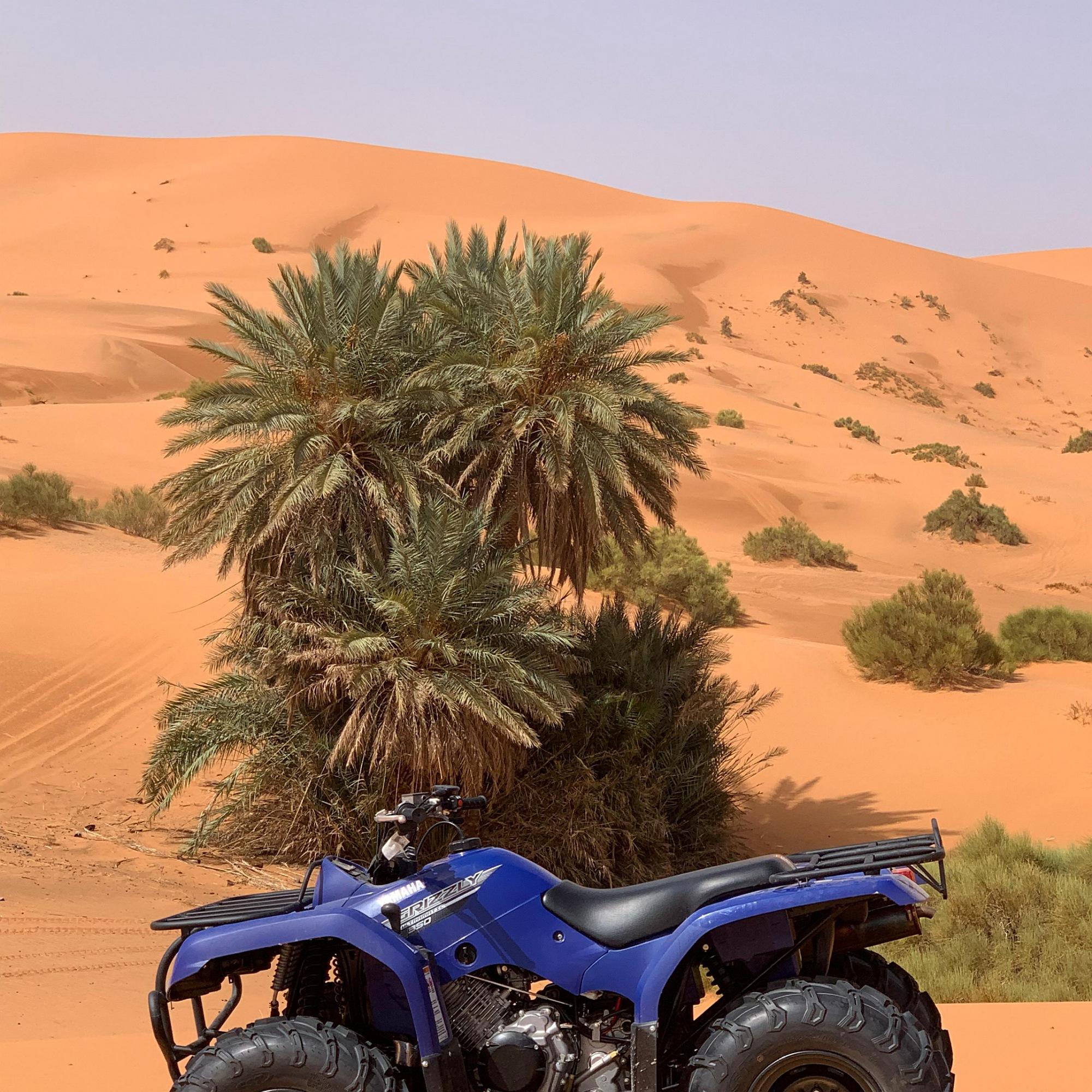 Merzouga Sahara Quad Bike Safari & Sandboarding
