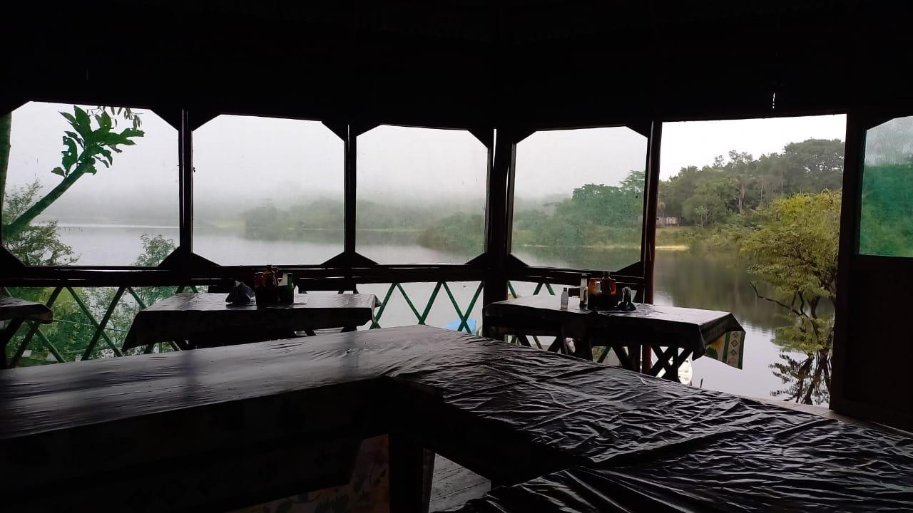 2-Day Amazon & Ipanema Lake Jungle Adventure from Manaus