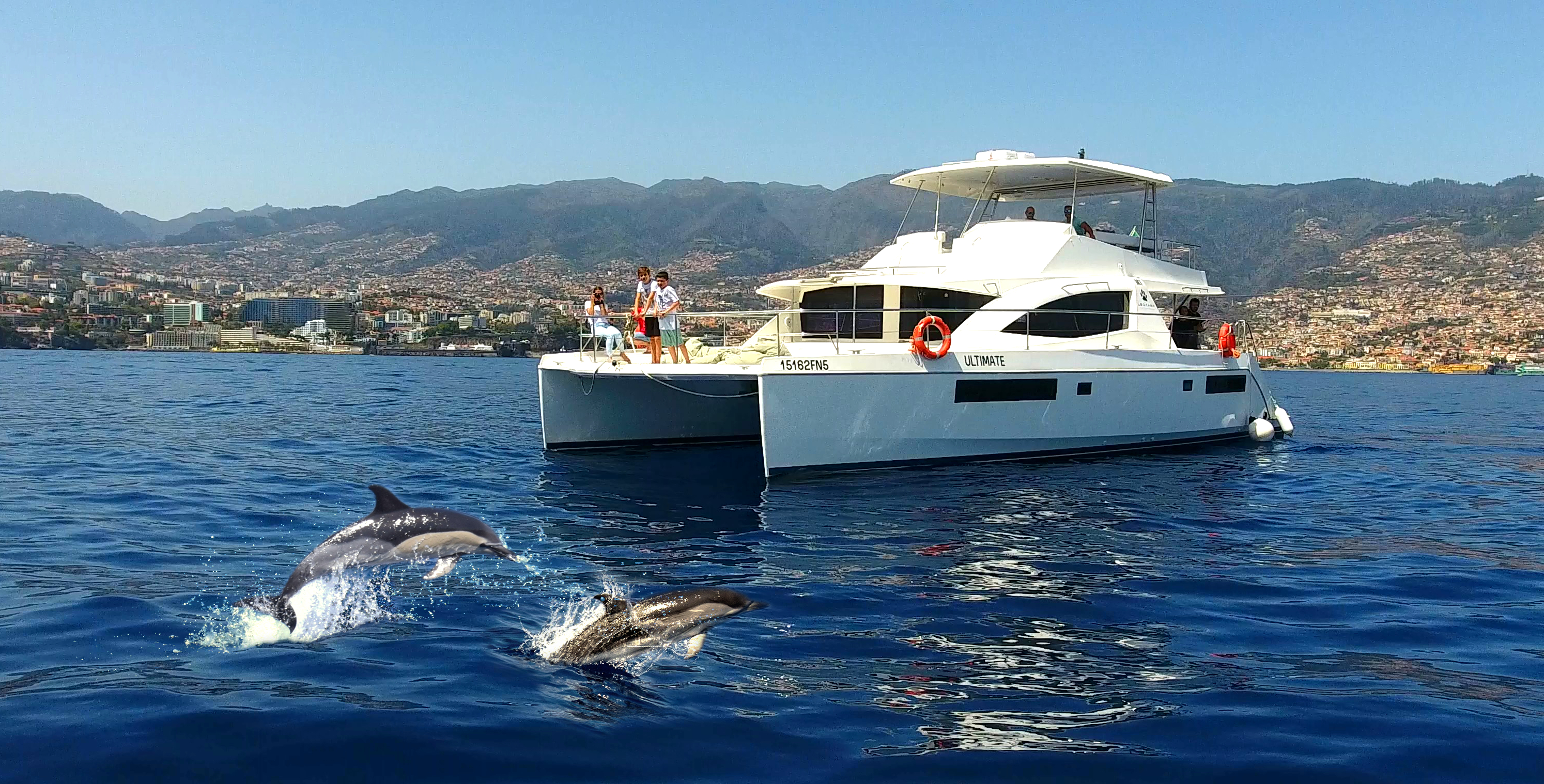 Funchal: Luxury Open-Bar Catamaran Dolphin & Whale Search