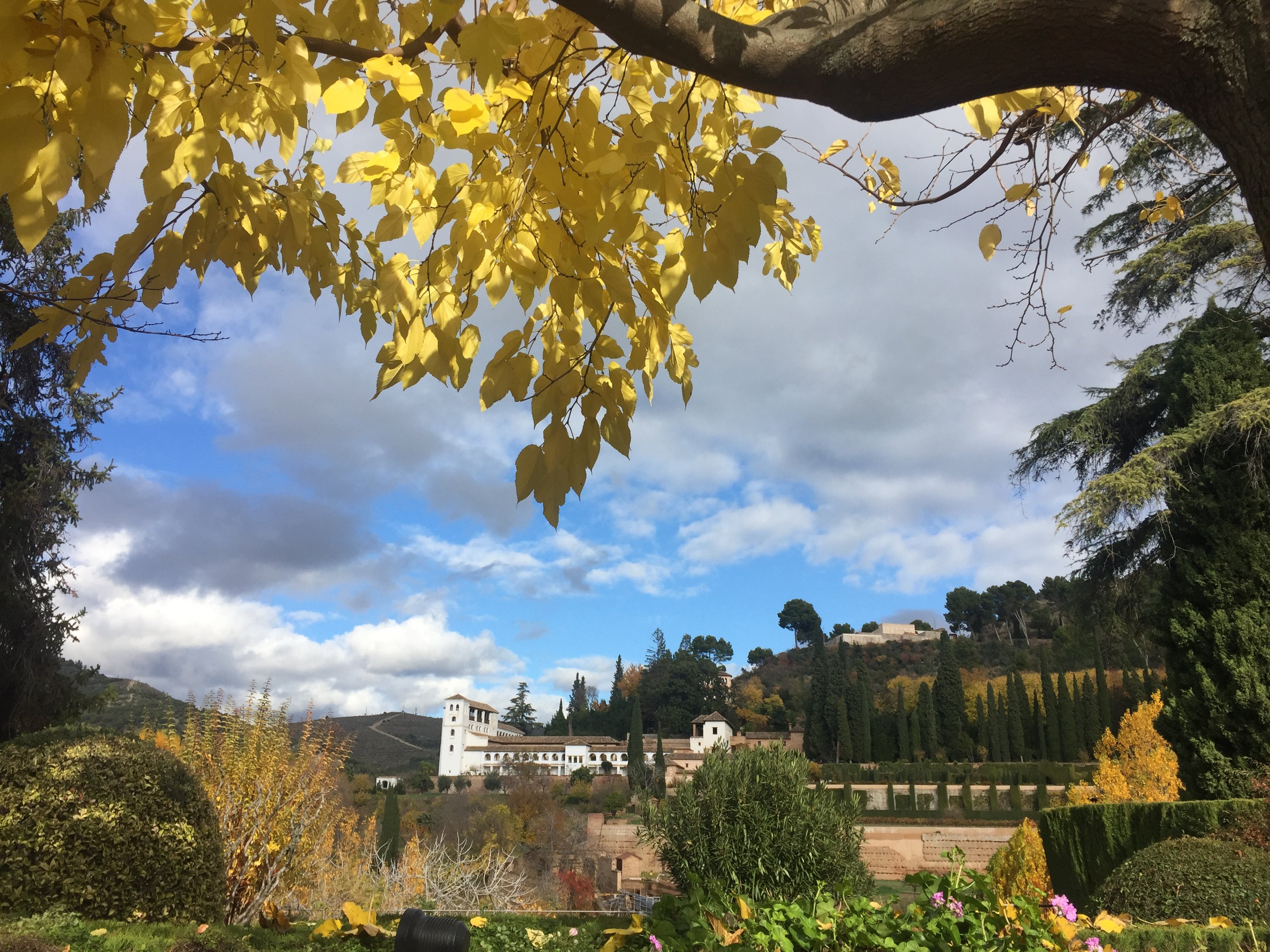 Granada: Alhambra & Generalife Fast-Track Guided Tour