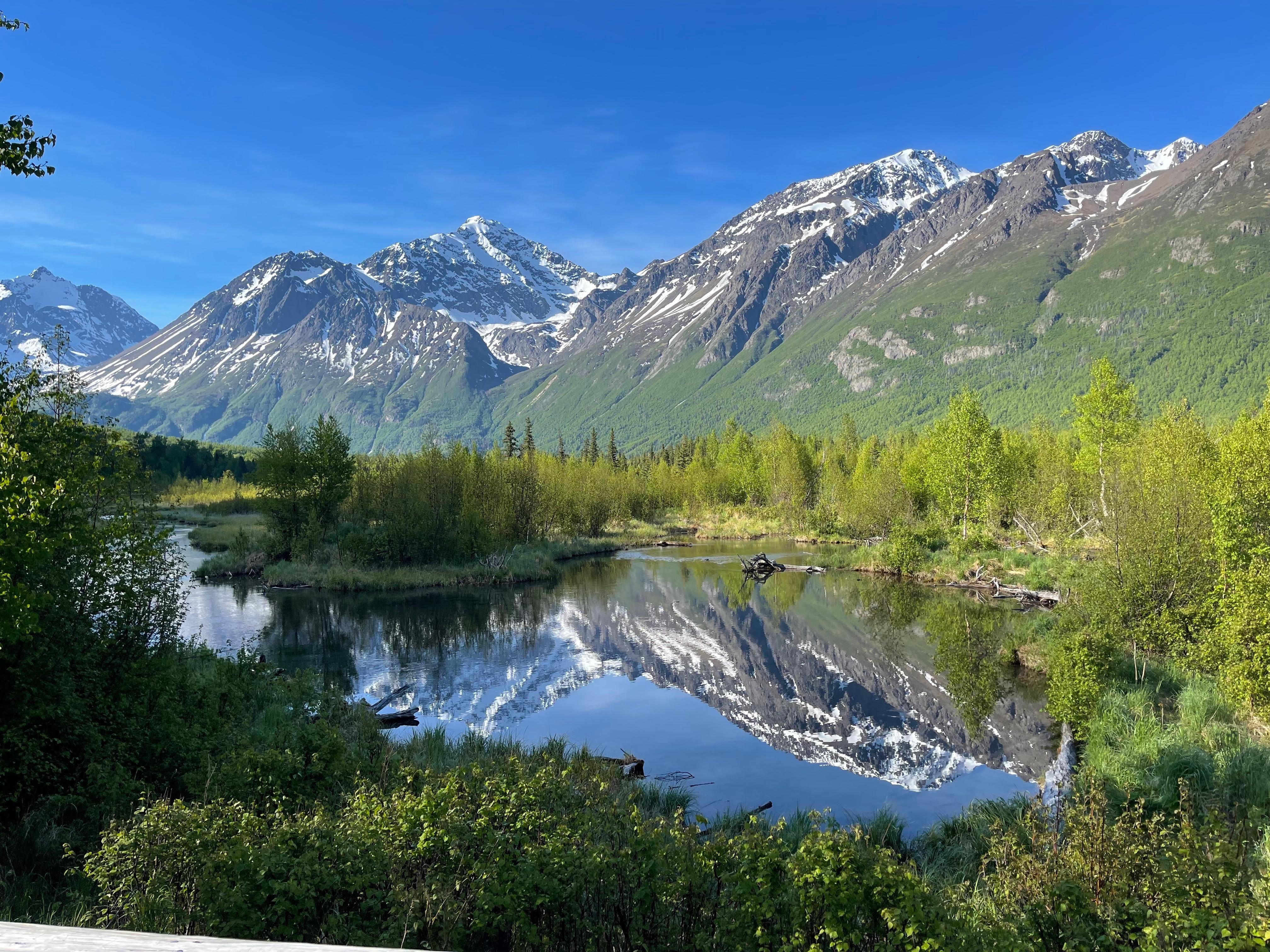 Guided Valley and Forest Hike in Chugach State Park
