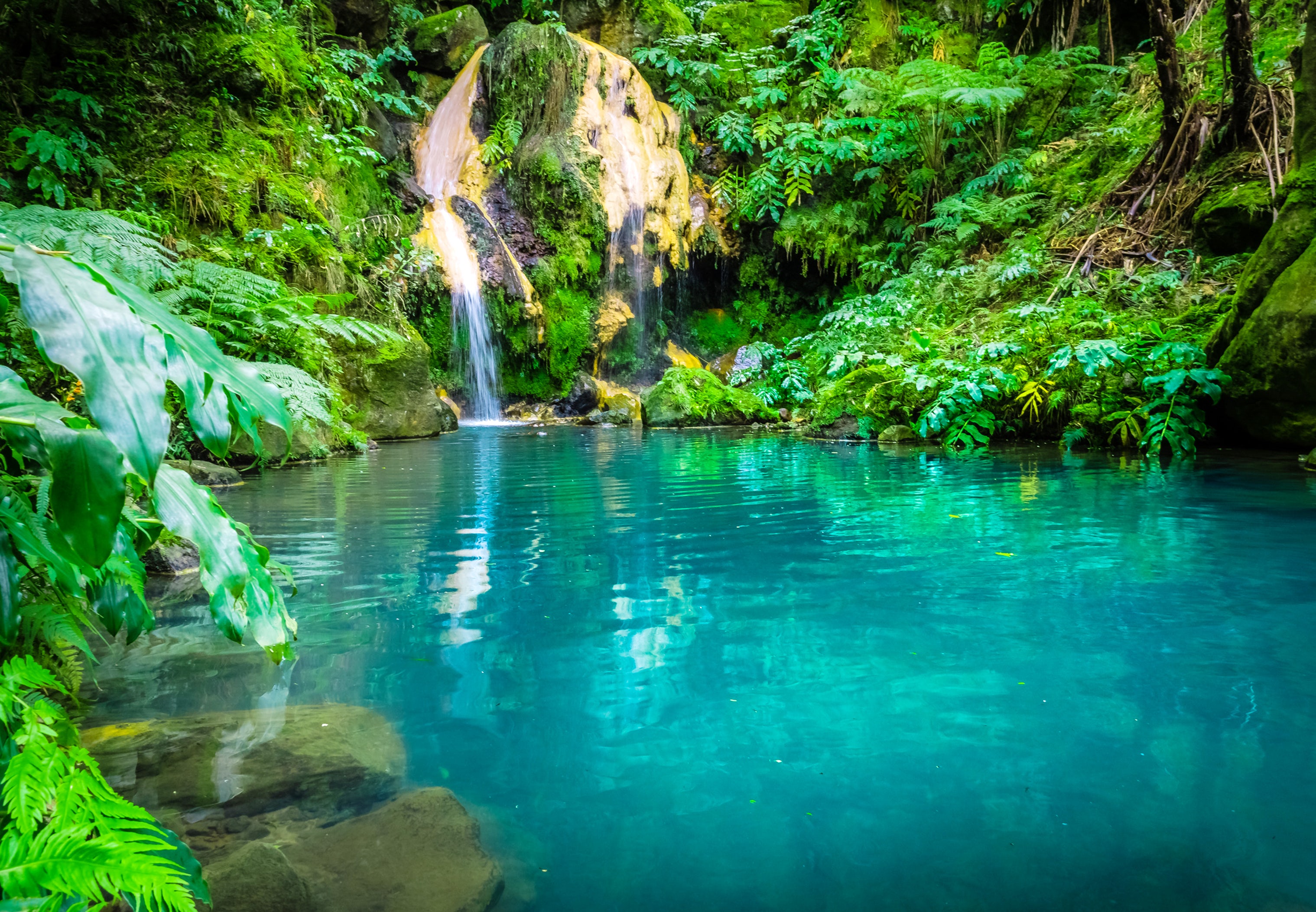 Lagoa do Fogo & Caldeira Velha Thermal Springs Day Trip