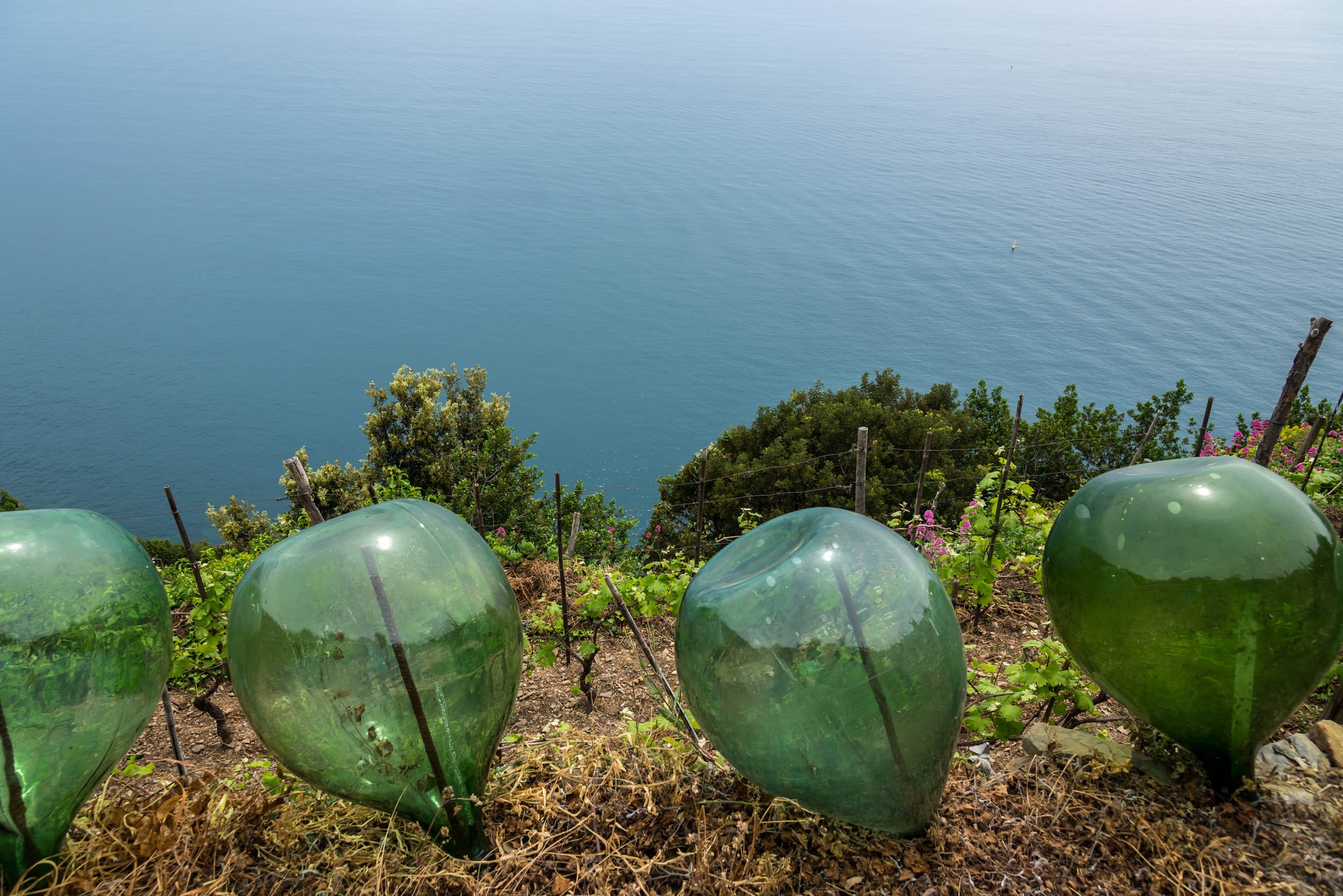 cooking class in Cinque Terre — photo 2