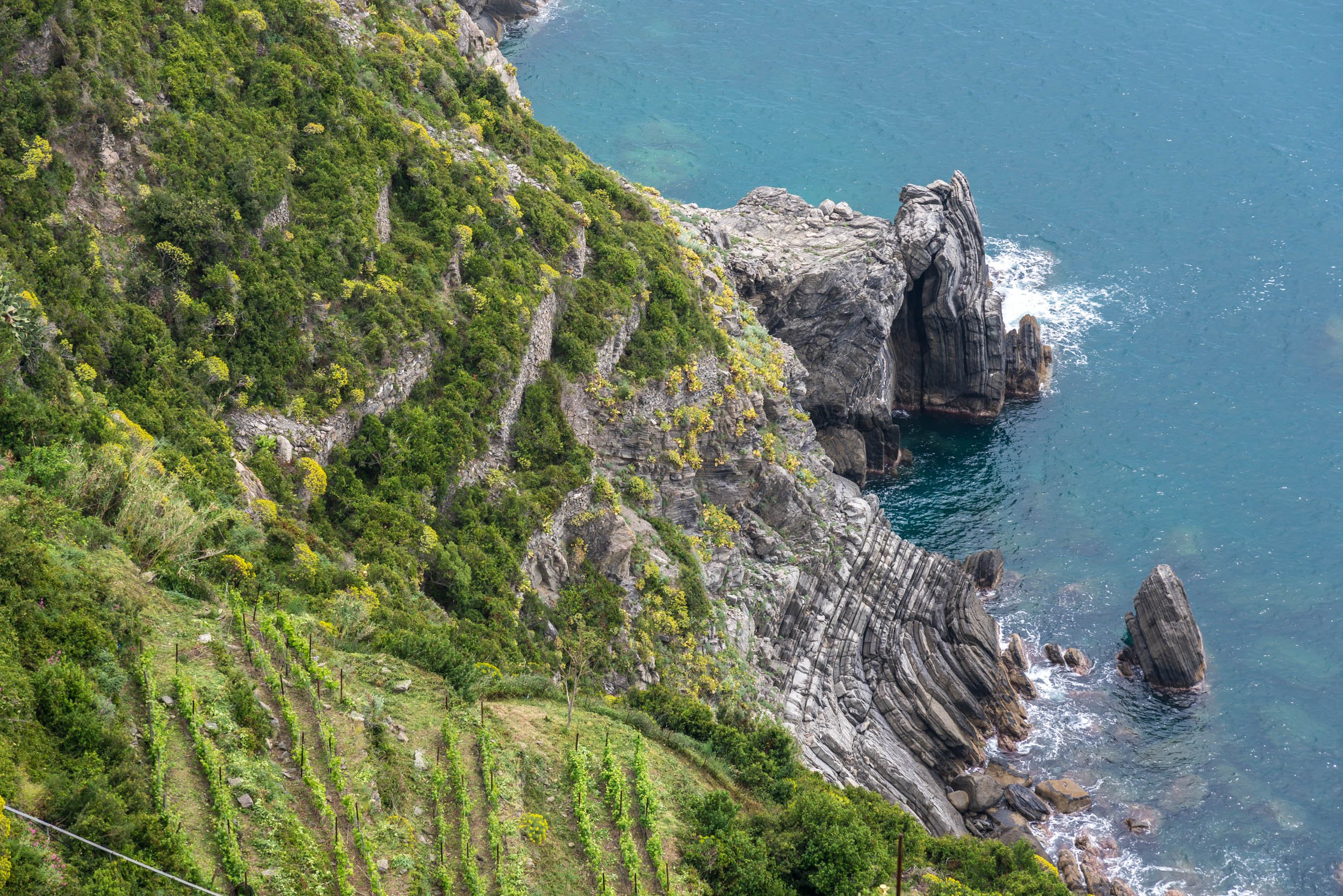 cooking class in Cinque Terre — photo 4