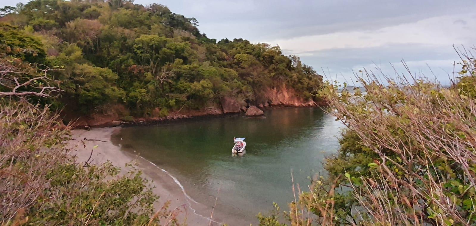 Bioluminescent Plankton Night Tour with Beach BBQ from Jaco