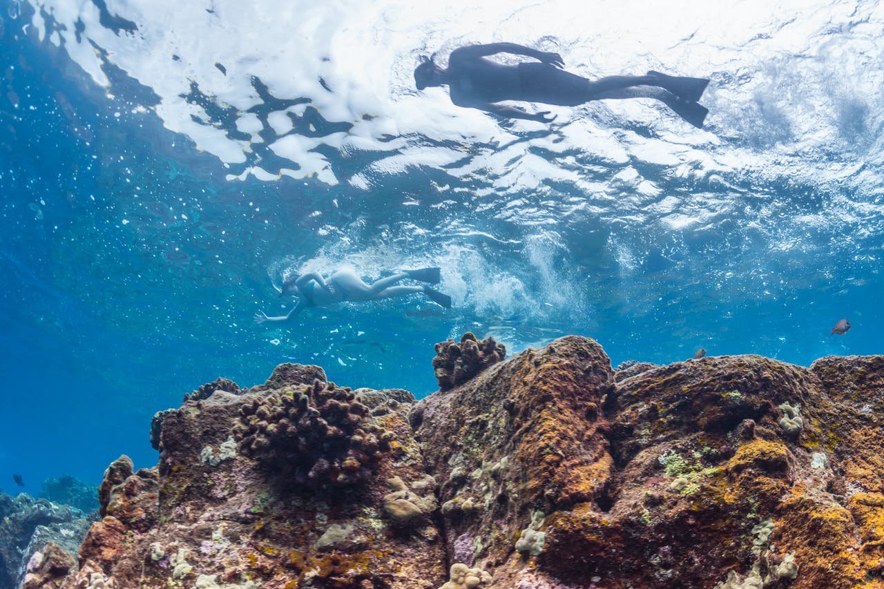 Kona Coast Snorkel Adventure: Place of Refuge & Kealakekua Bay