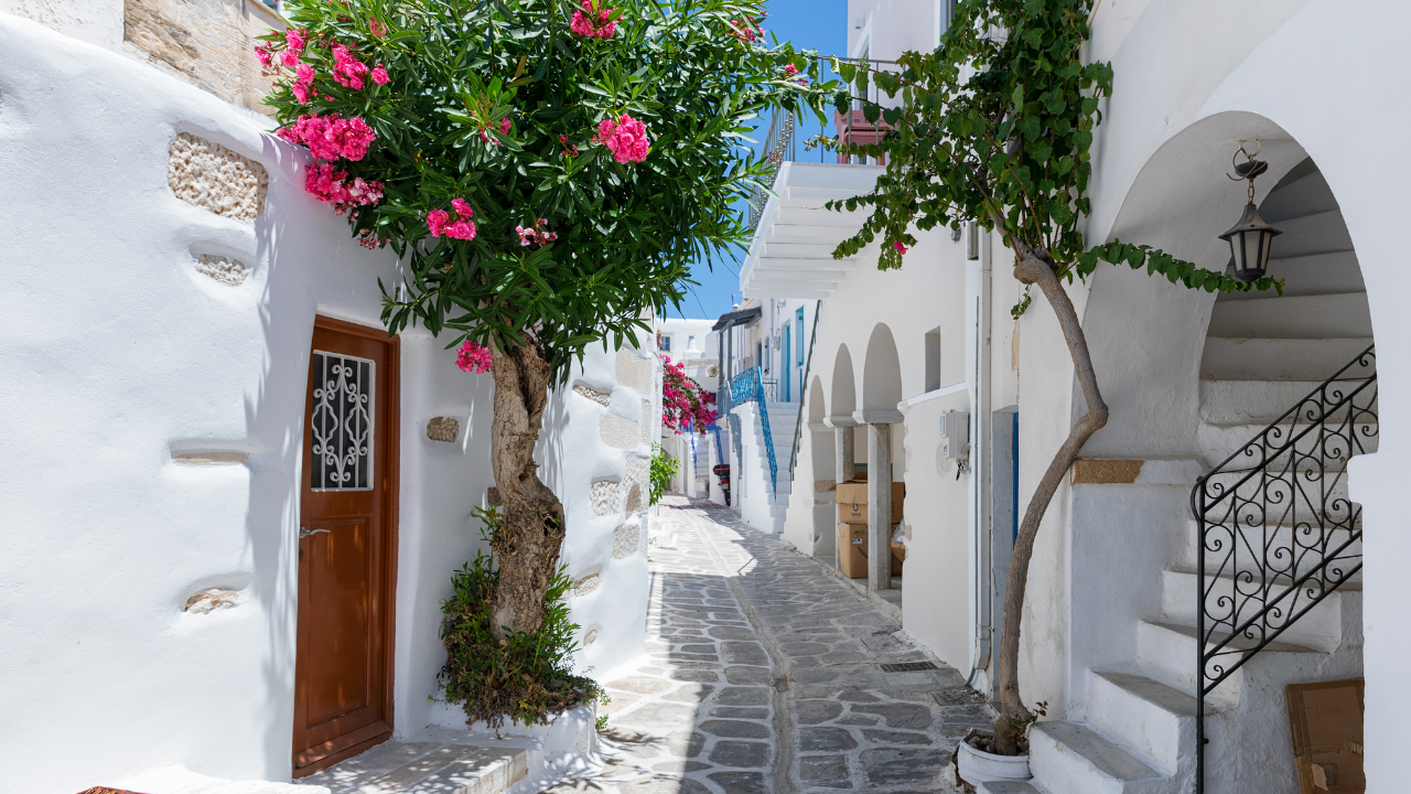 Santorini day trip from Crete — Oia and Fira caldera views — image 4