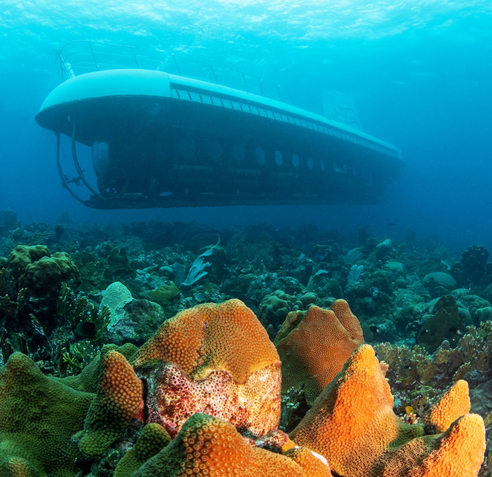 Bridgetown Submarine Adventure with Scenic Boat Transfer