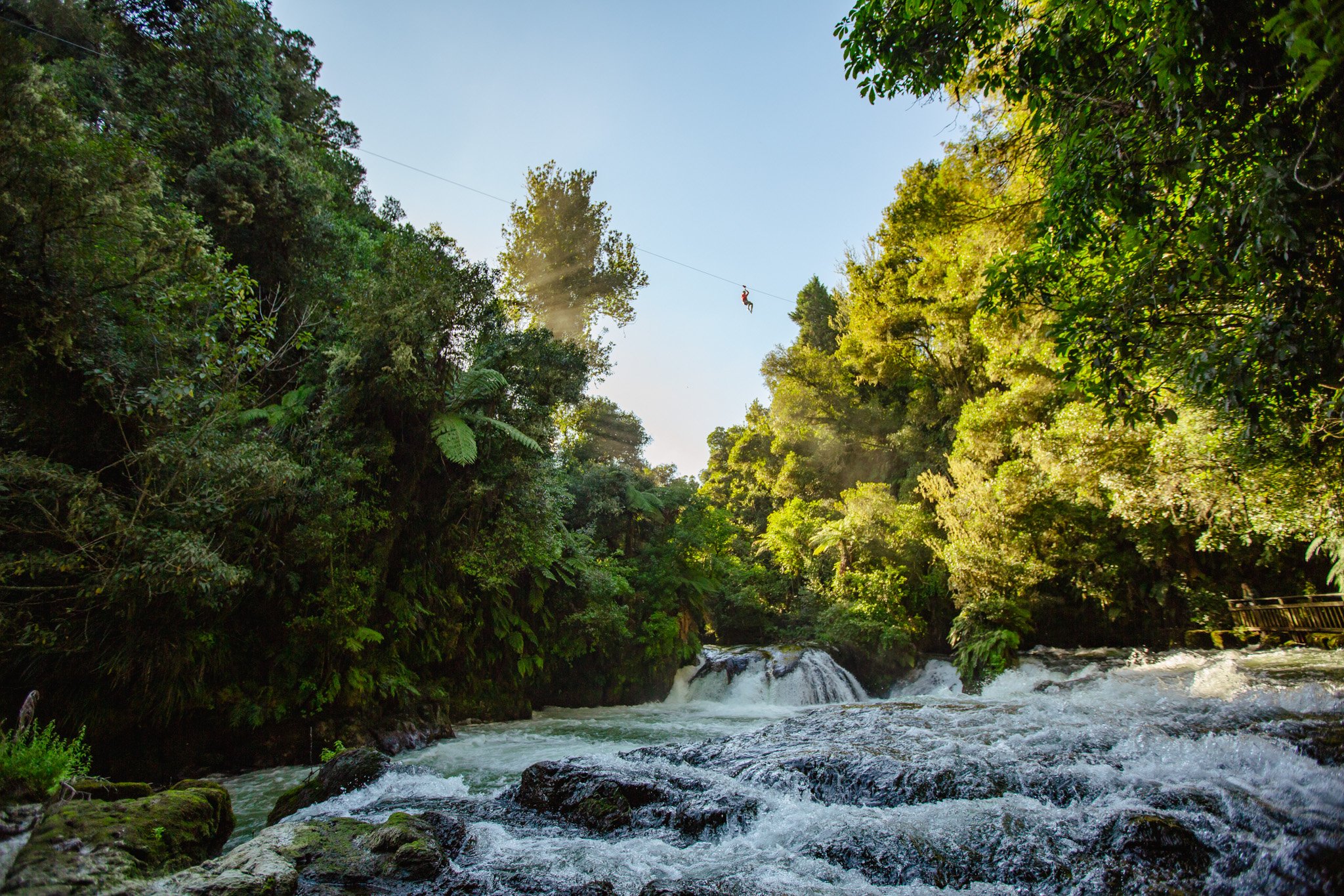 Rotorua Ziplines: Waterfall Zipline & Free Sauna
