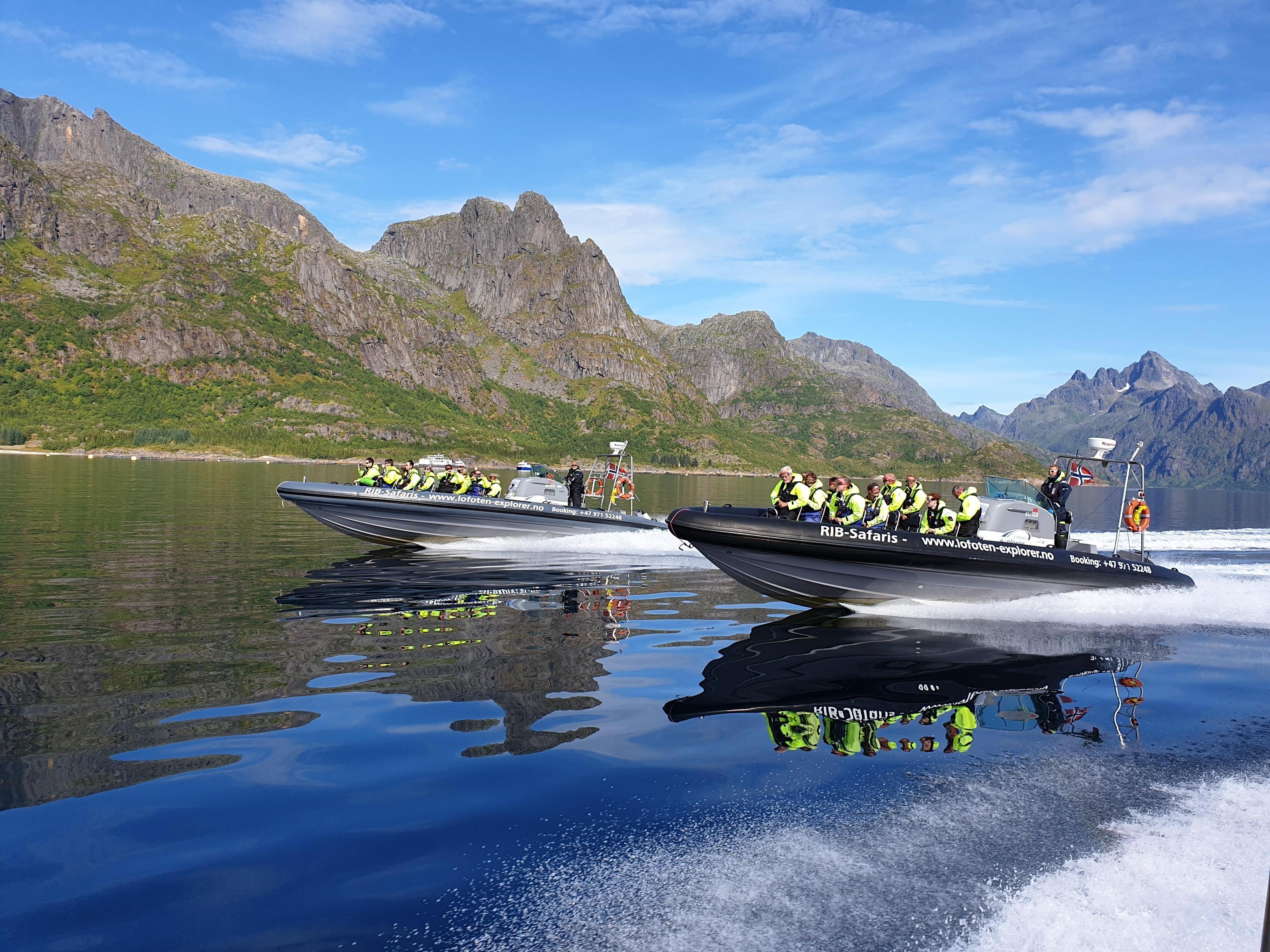 Trollfjorden Wildlife RIB Cruise from Svolvær