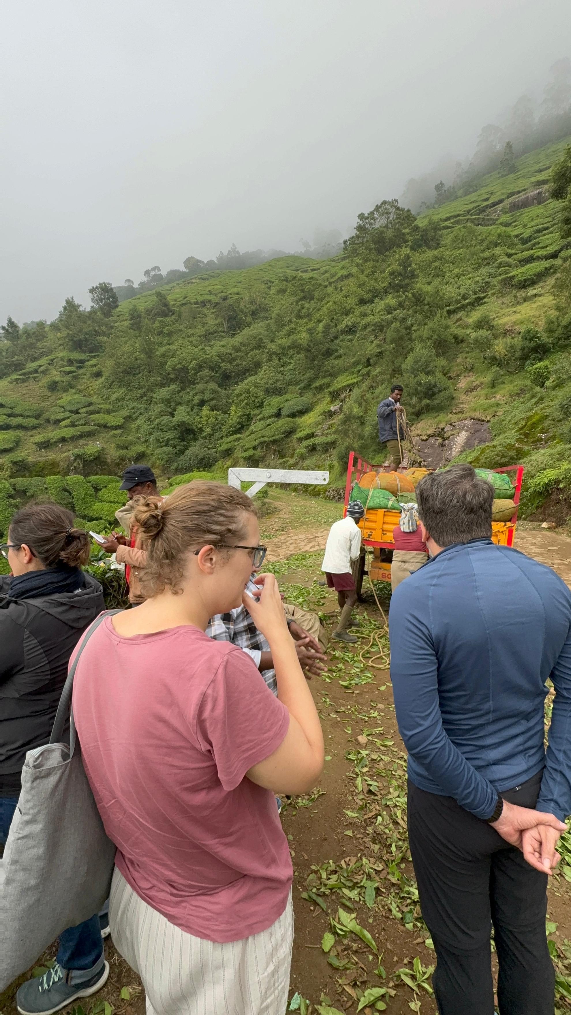 Munnar: Kolukkumalai High-Altitude Tea Estate Jeep Adventure