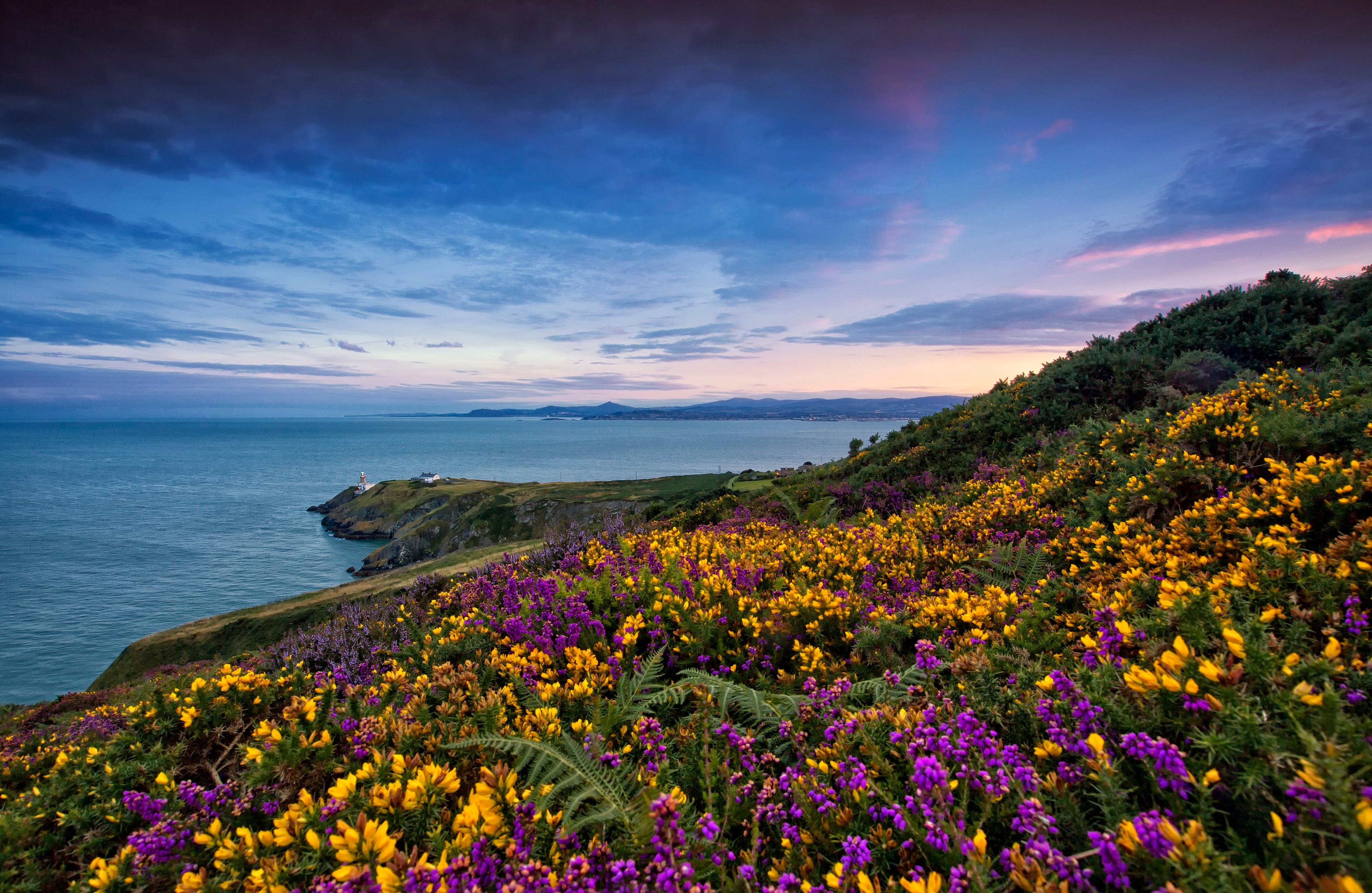 Half-Day Howth Village Coastal Excursion from Dublin