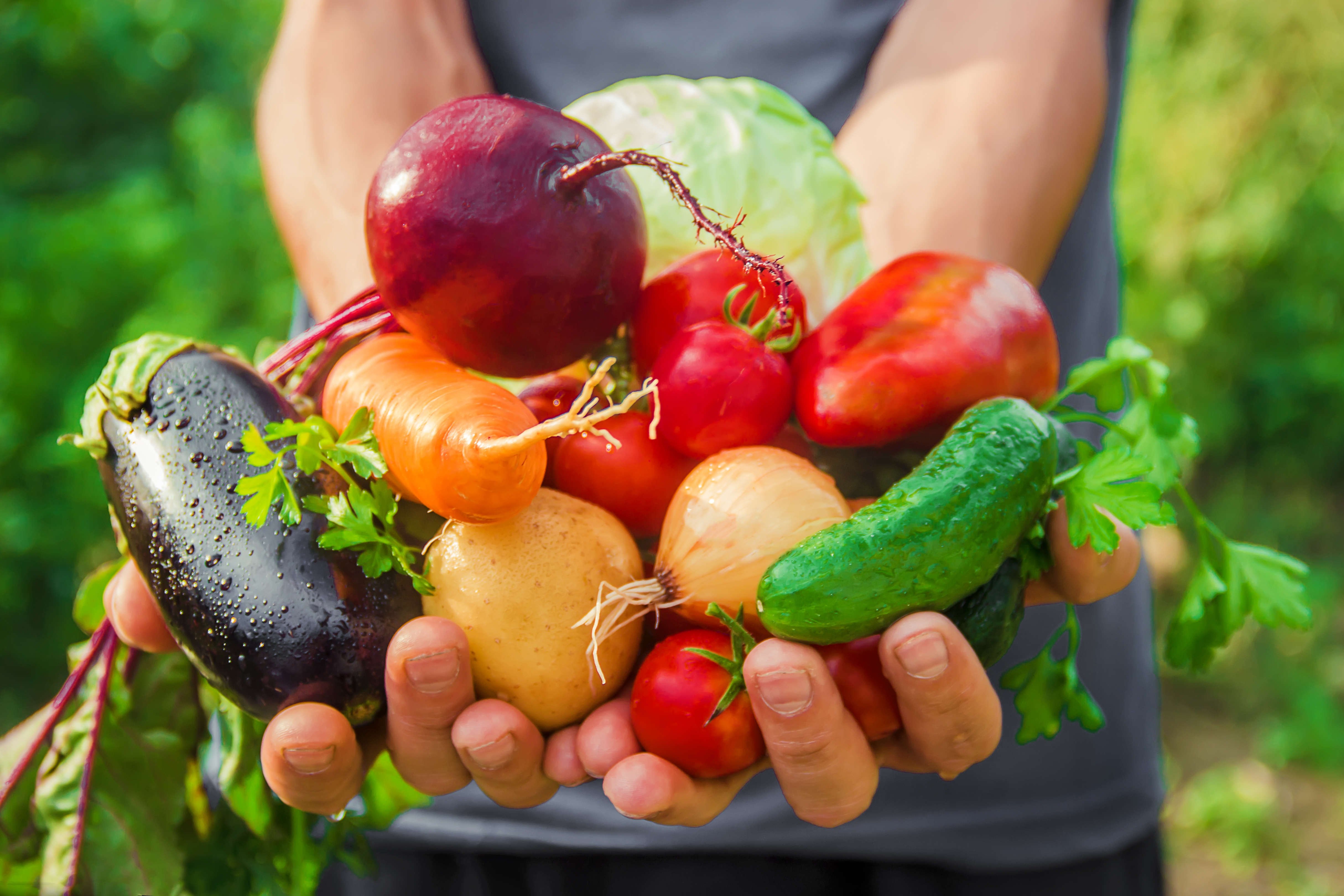 Amalfi Coast Farmhouse Cooking Class & Garden Tour