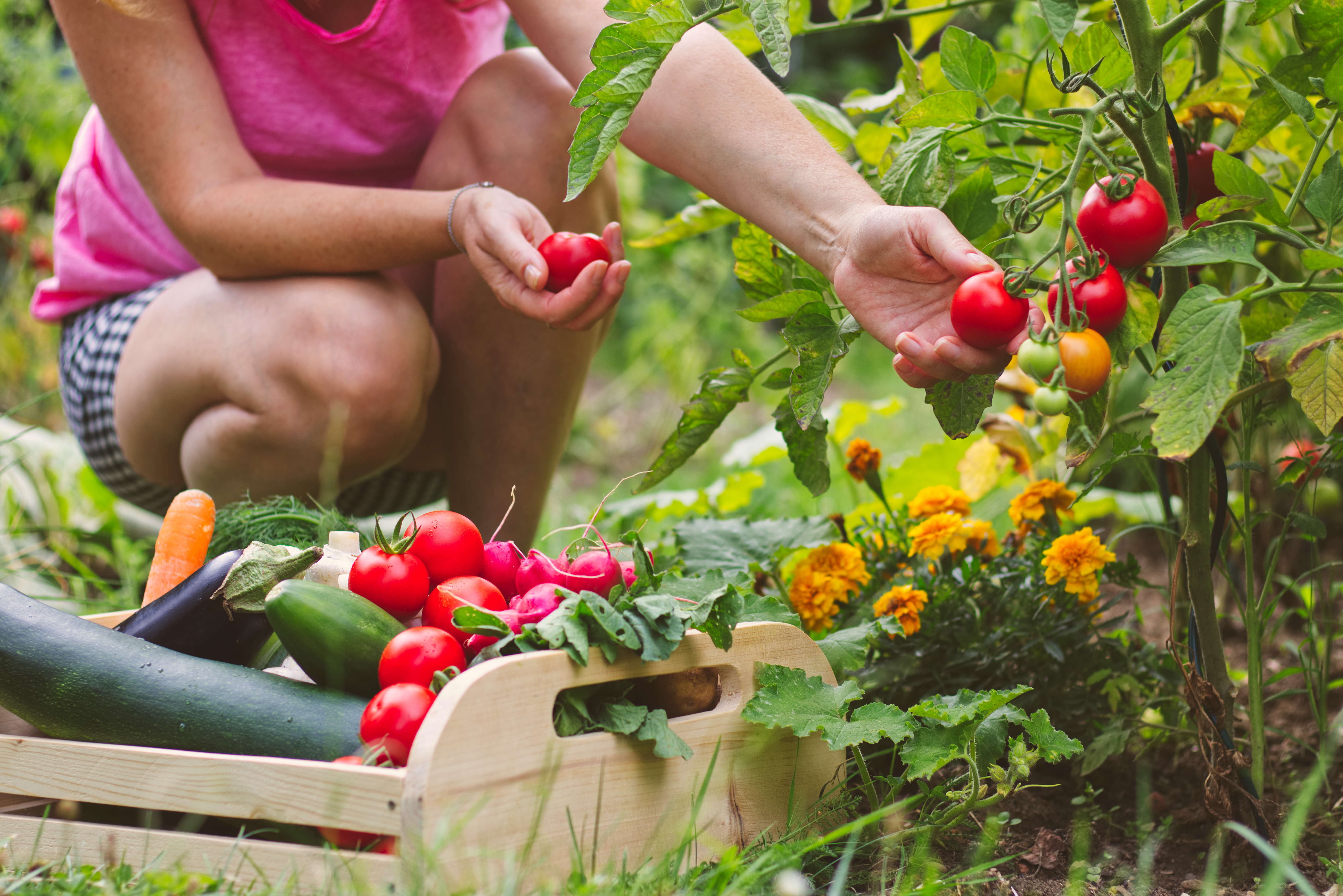 Amalfi Coast Farmhouse Cooking Class & Garden Tour