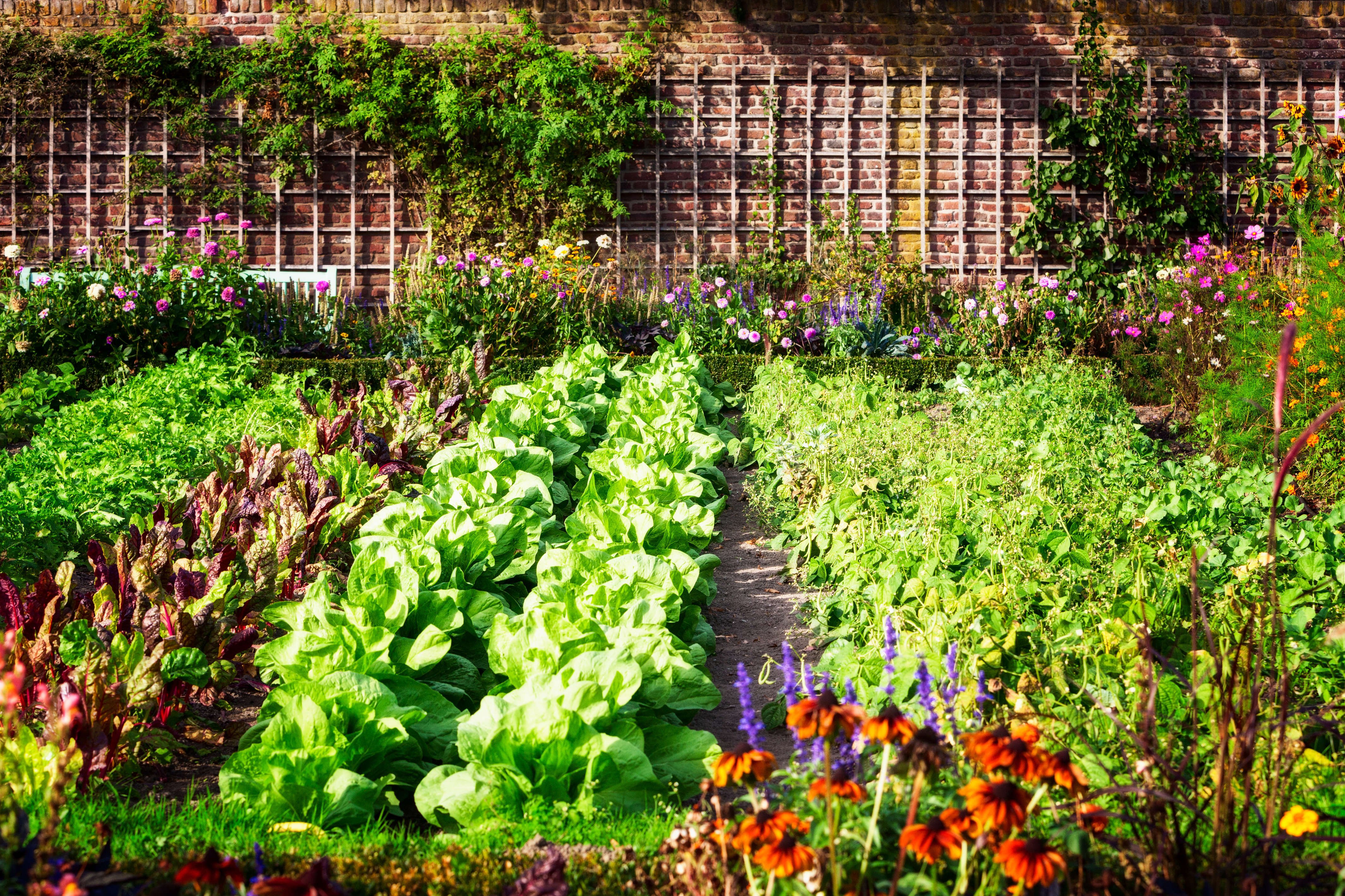 Amalfi Coast Farmhouse Cooking Class & Garden Tour