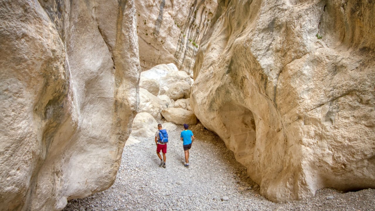From Orosei or Dorgali: Gorropu Canyon Guided Hike - Gorropu Canyon, Sardinia
