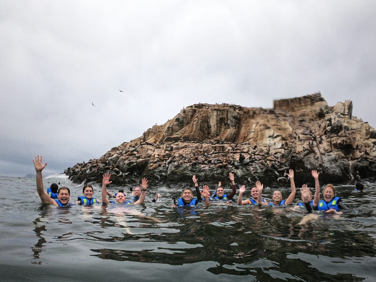 Palomino Islands Sea Lion Swimming Adventure