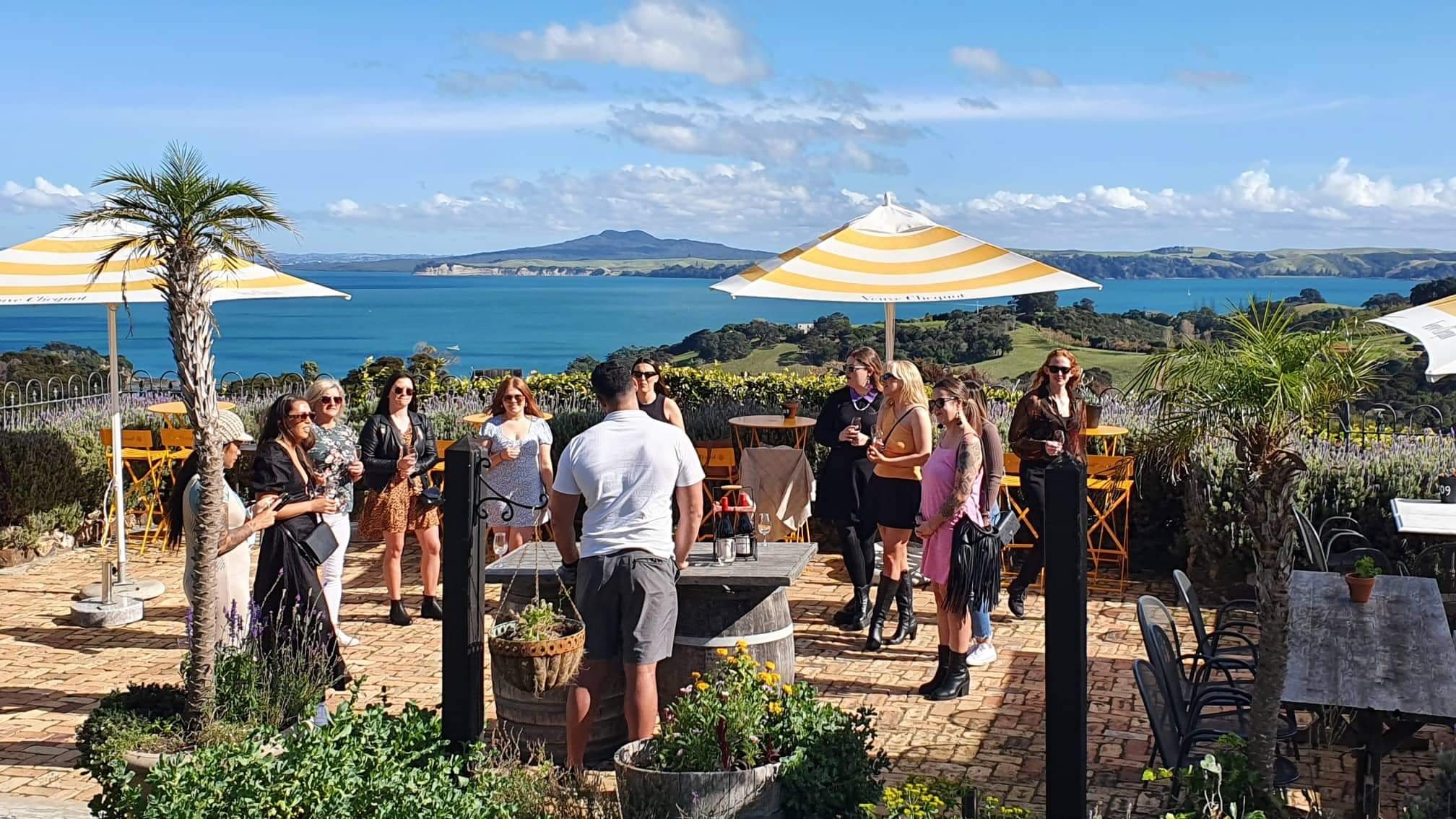 Auckland: Waiheke Island Scenic Wine Journey to 3 Vineyards